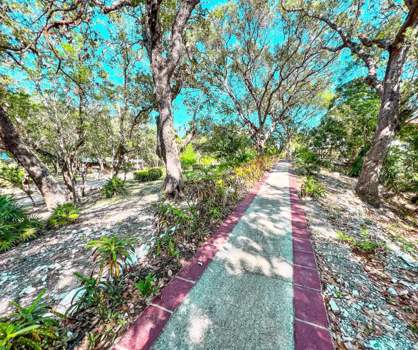 Natural landscape in The Resort at Marble Hill