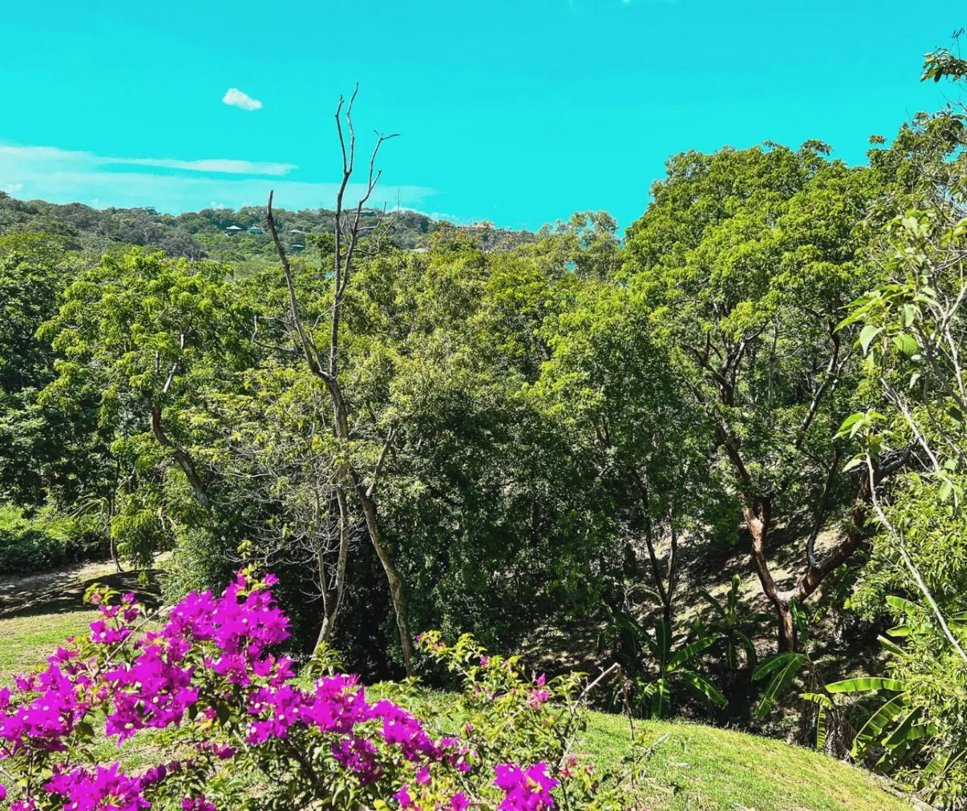 Natural landscape in The Resort at Marble Hill
