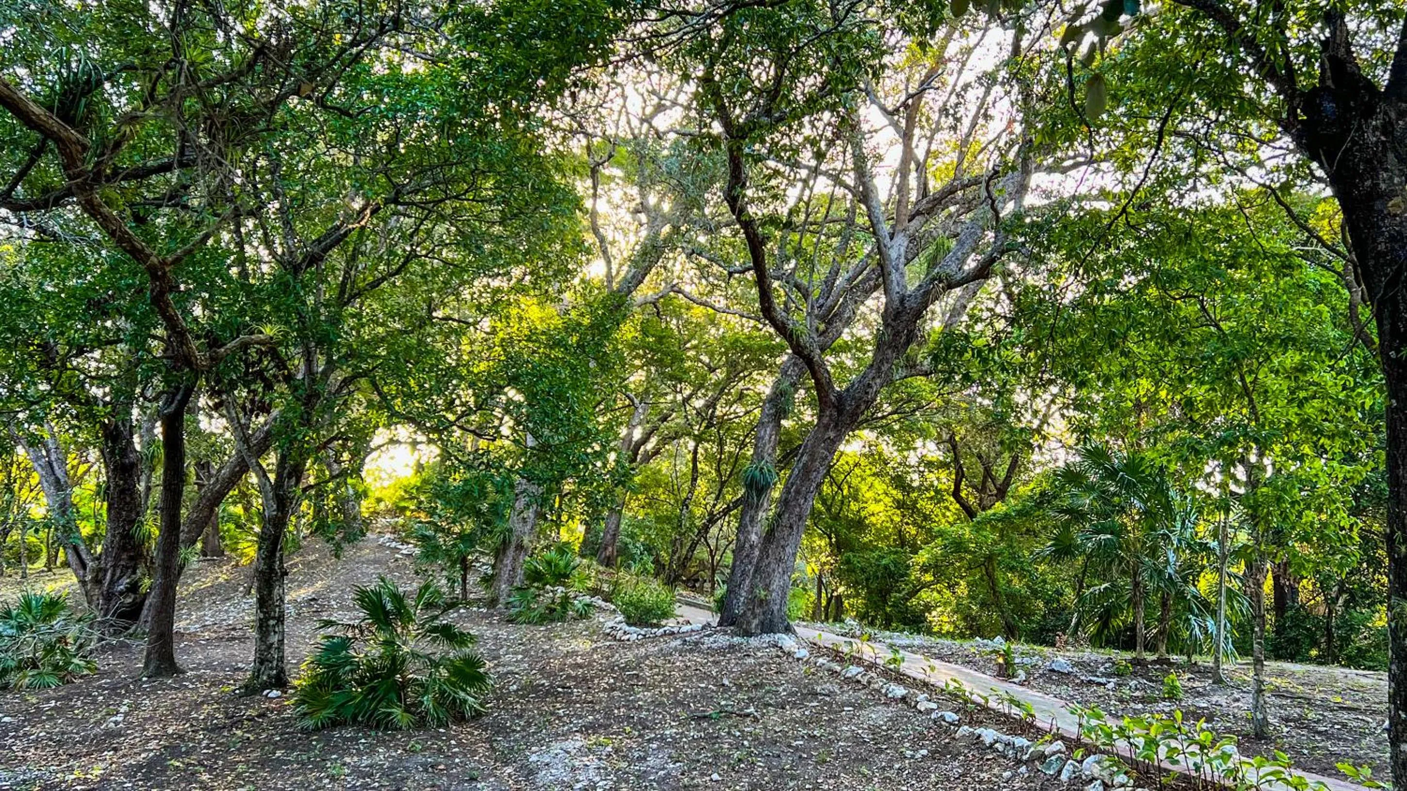 Garden in The Resort at Marble Hill