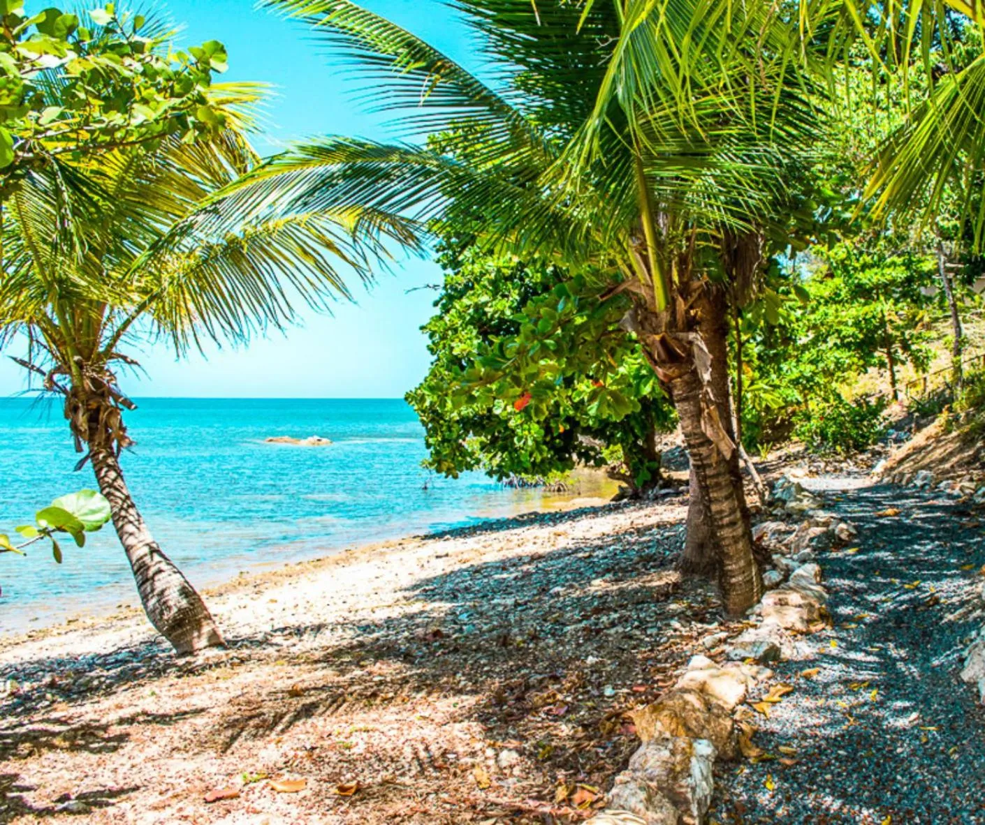 Natural landscape in The Resort at Marble Hill