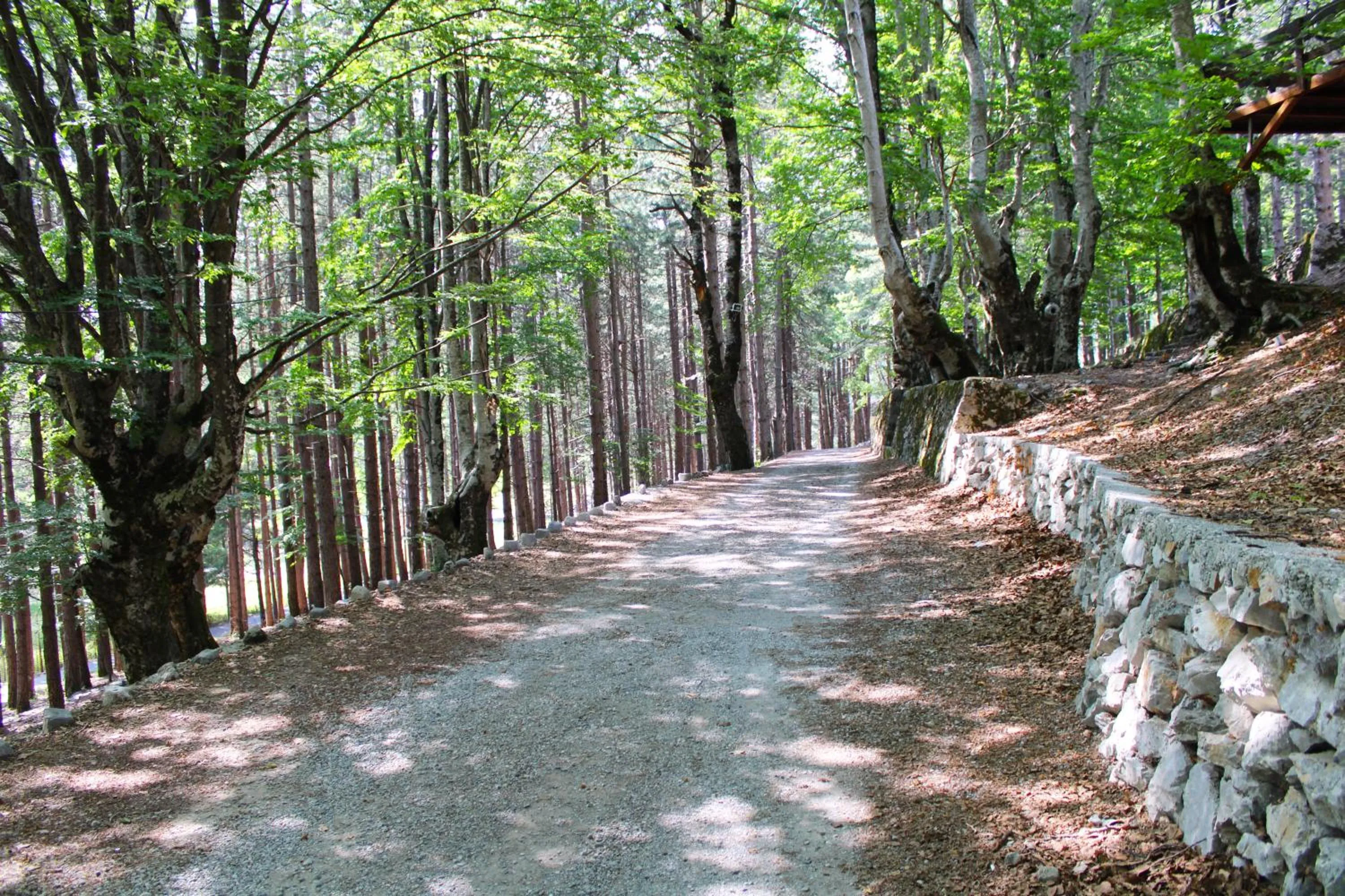 Neighbourhood in Natyral Razma Resort