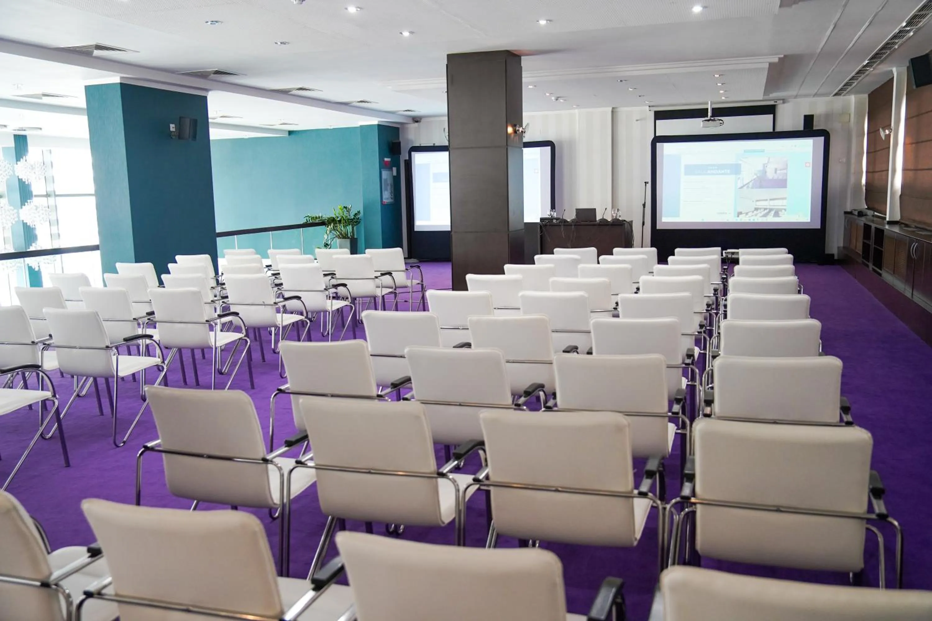 TV and multimedia in Caprioara Spa&Wellness Resort