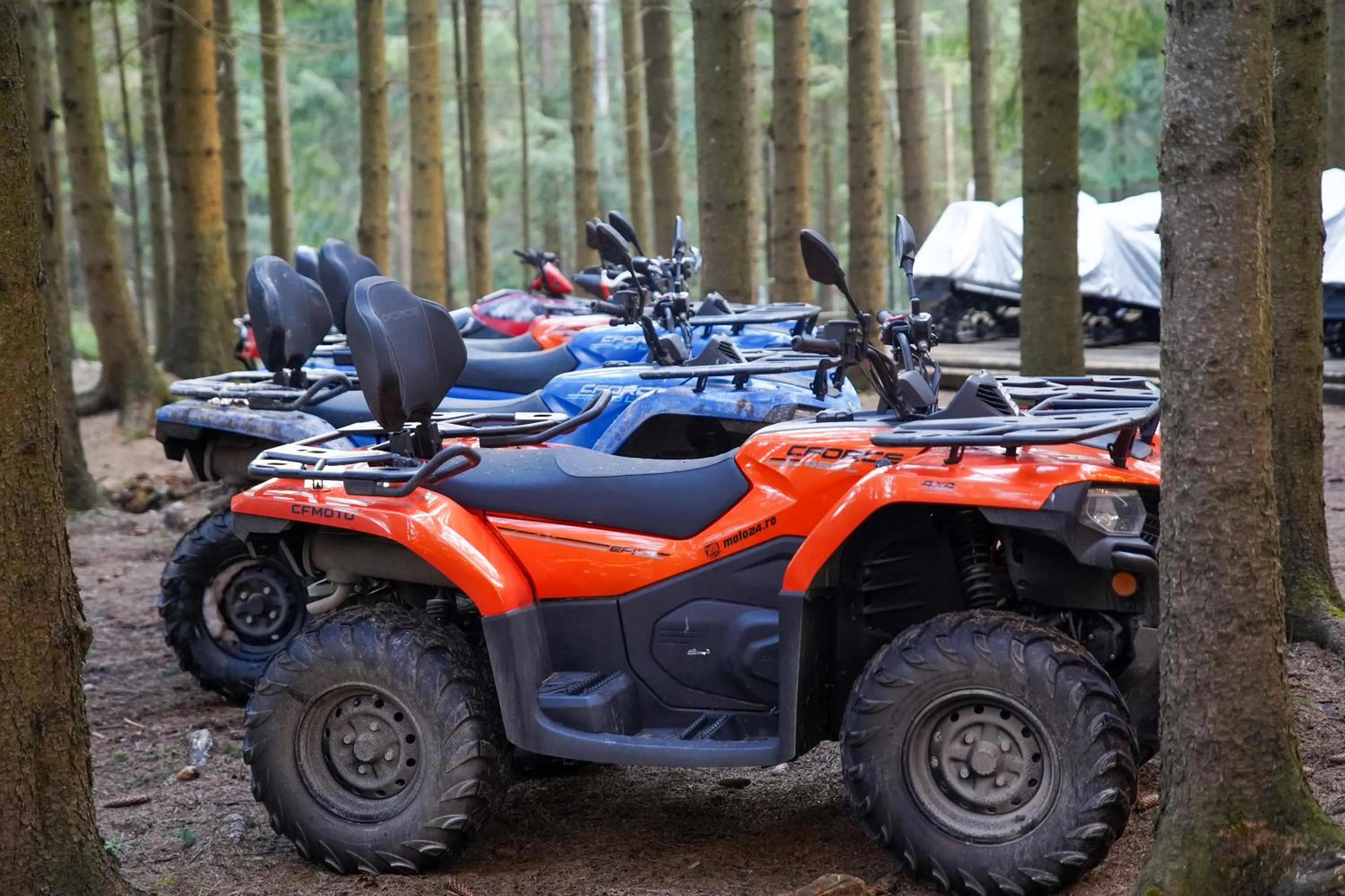 Natural landscape in Caprioara Spa&Wellness Resort