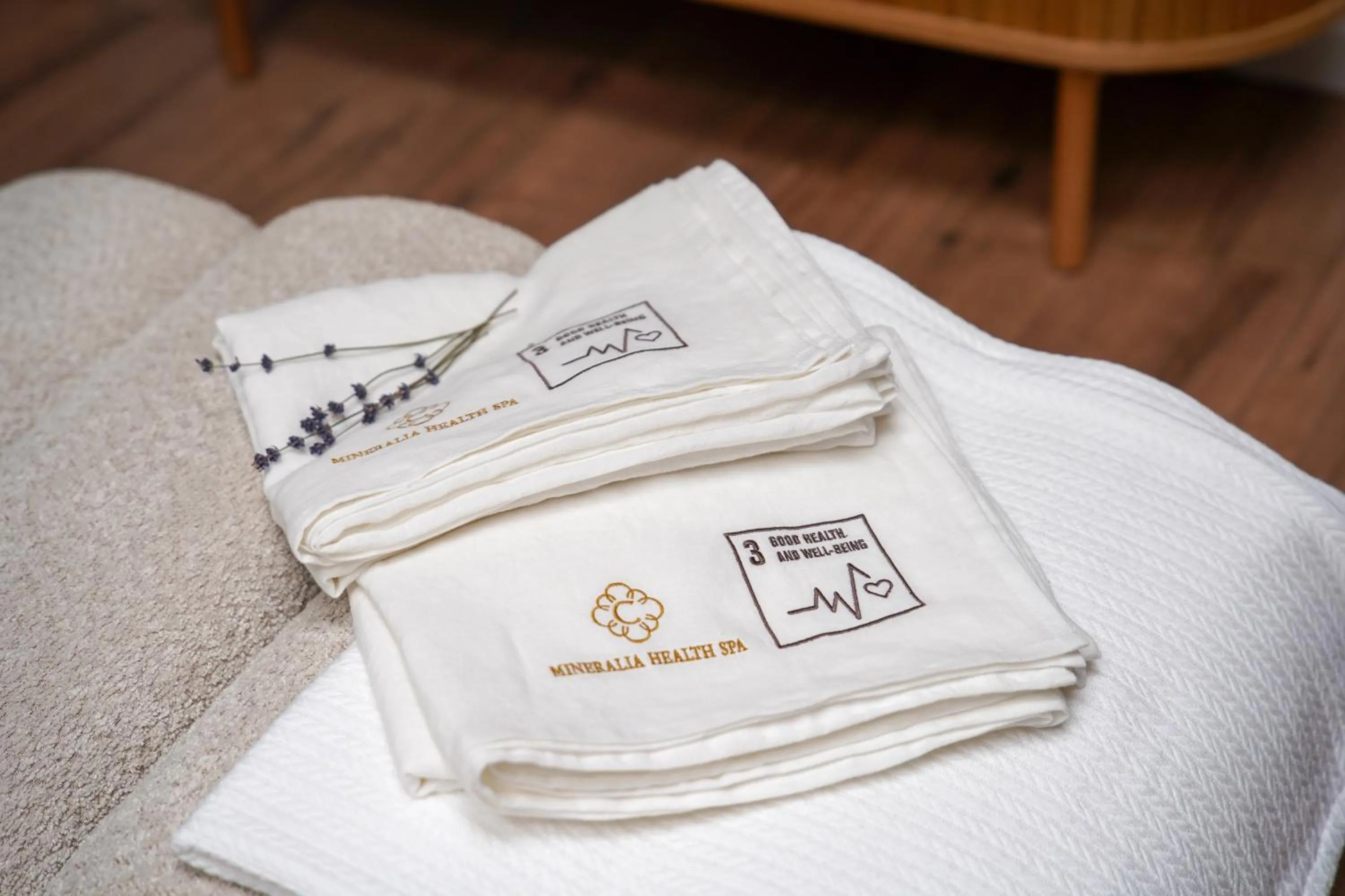 Seating area in Caprioara Spa&Wellness Resort