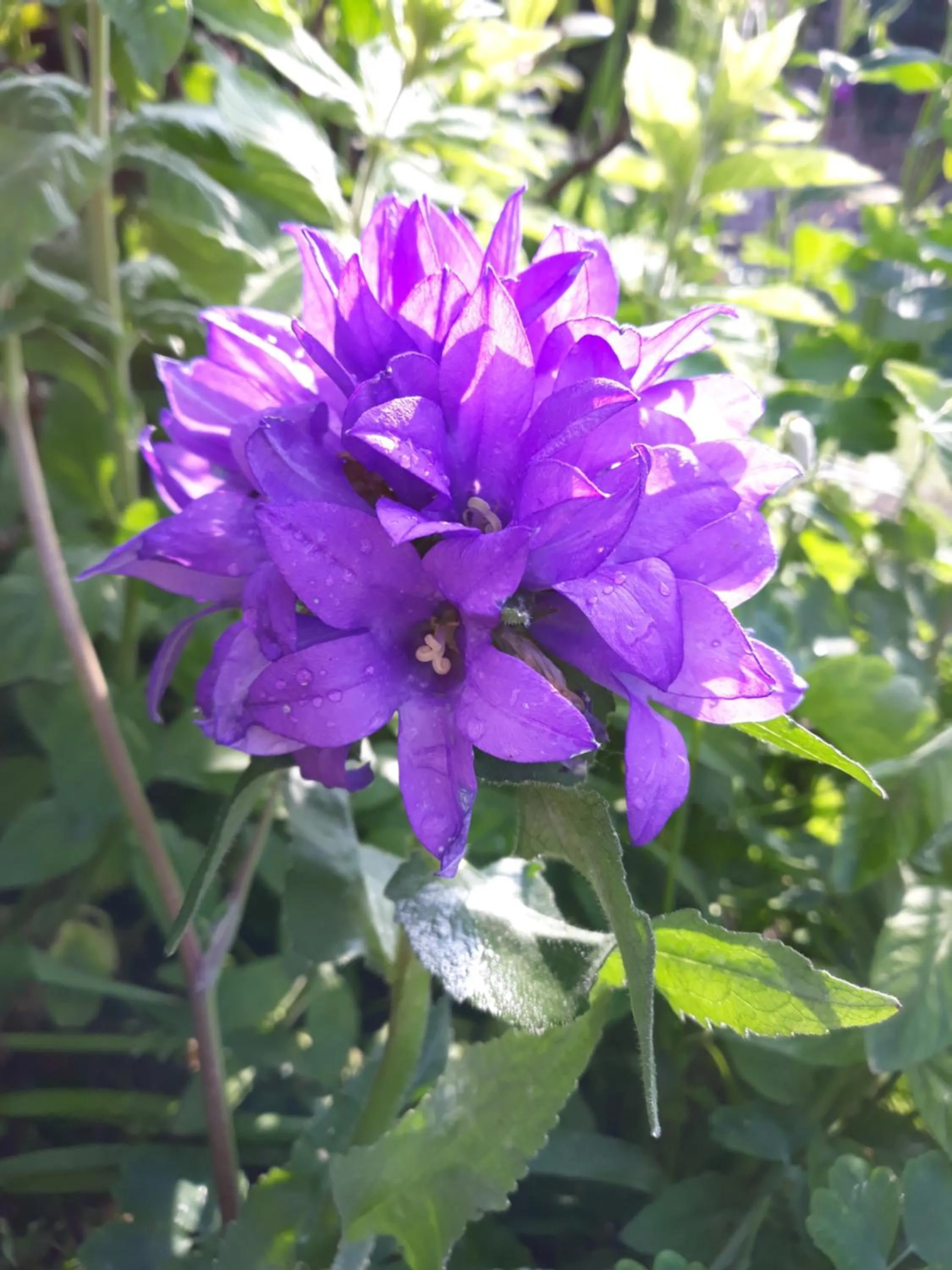Property building in Chambres d'hôtes La Luce