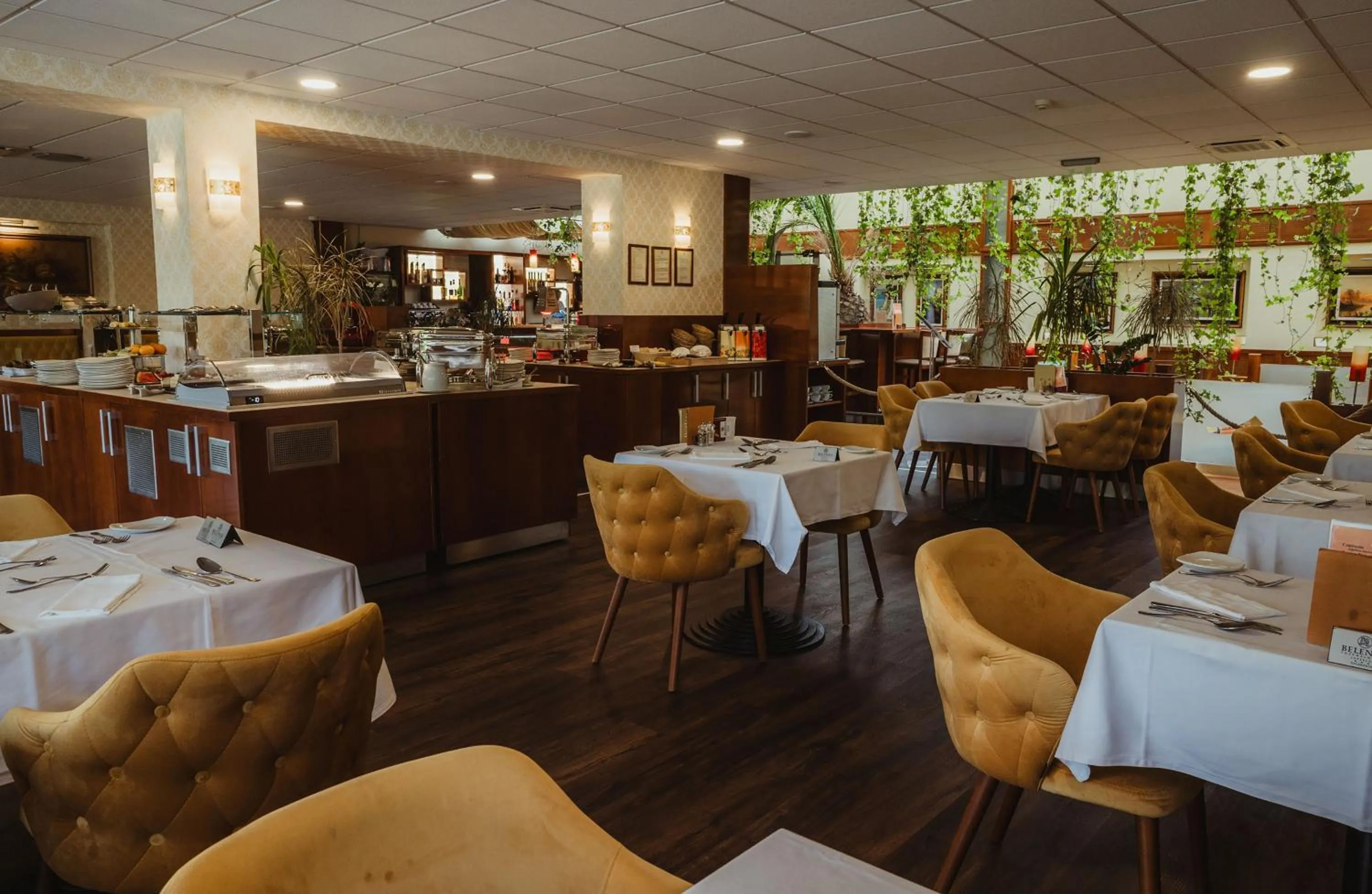 Restaurant/places to eat in Belenus Thermalhotel superior