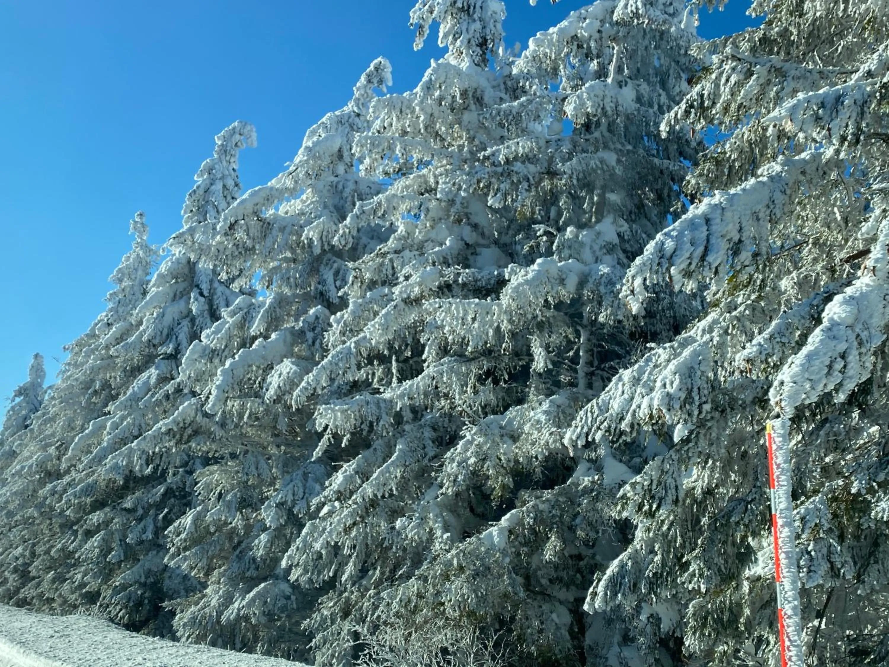 Natural landscape in Hôtel Les Mouflons