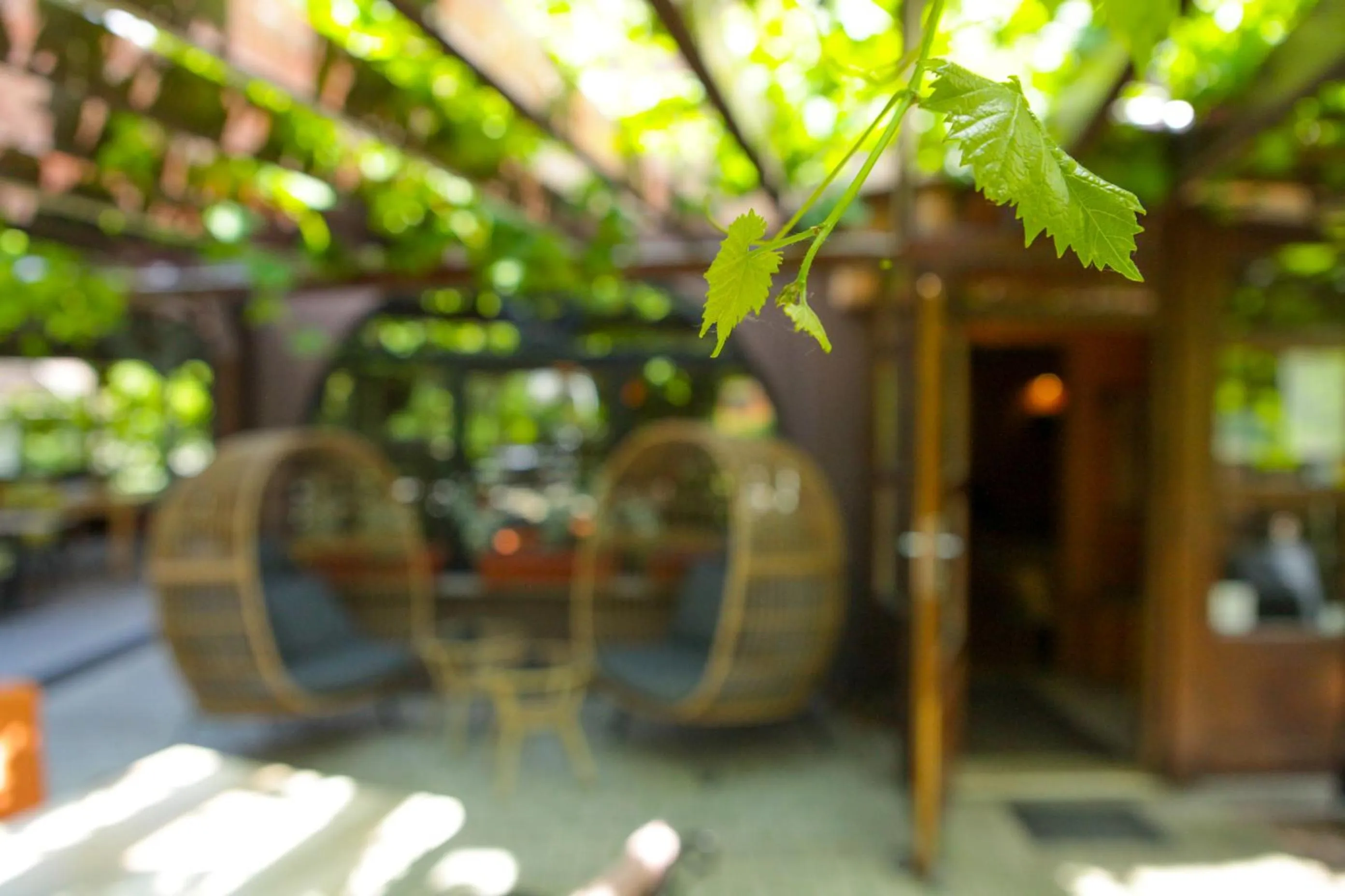 Property building in Gorski vrt