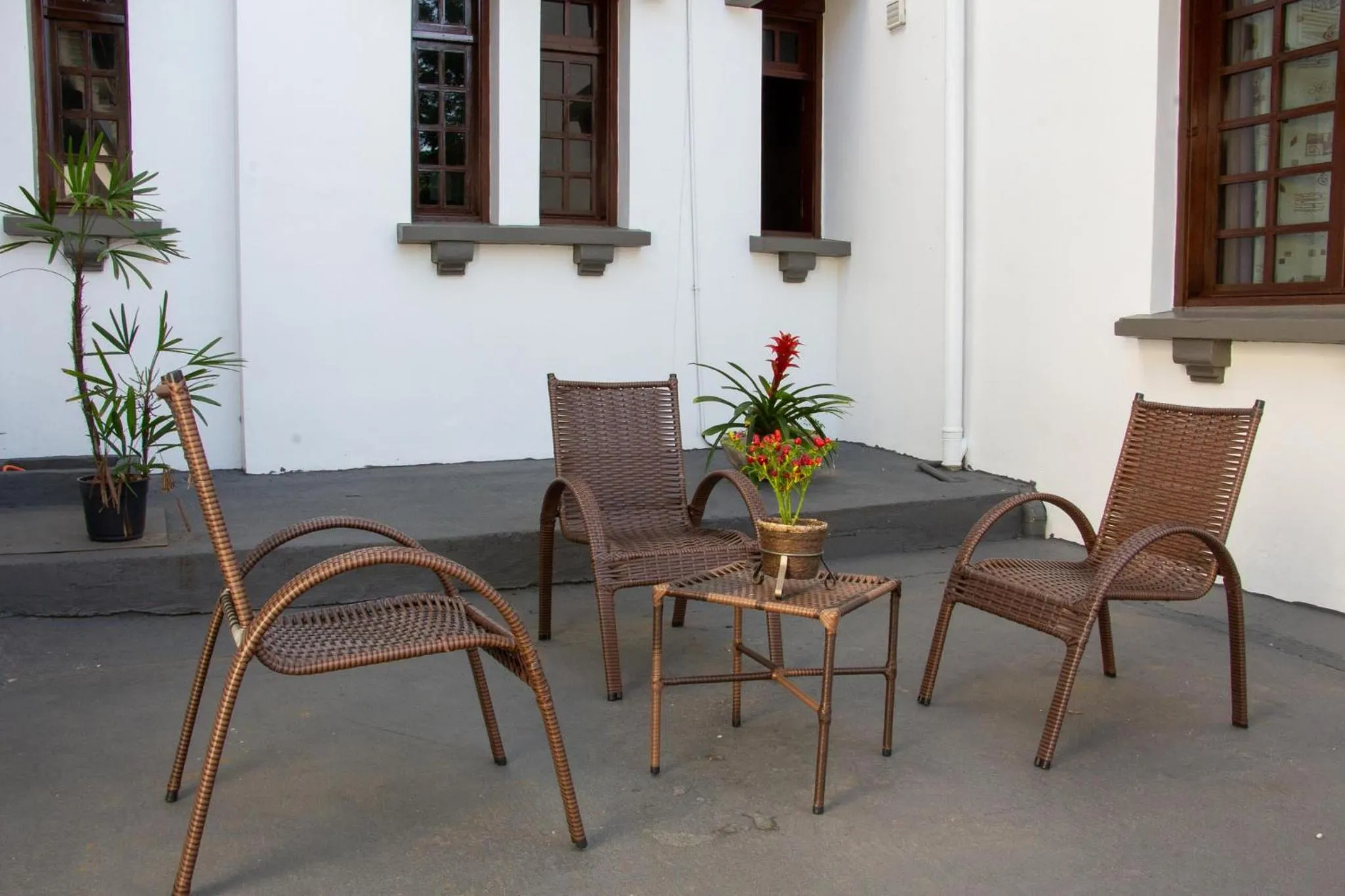 Garden in Hotel Villa Souza Ltda