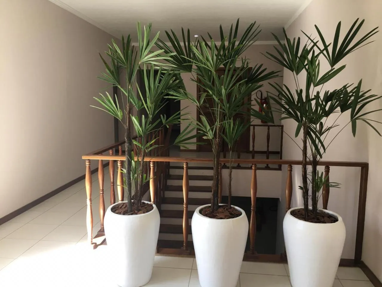 Area and facilities in Hotel Villa Souza Ltda