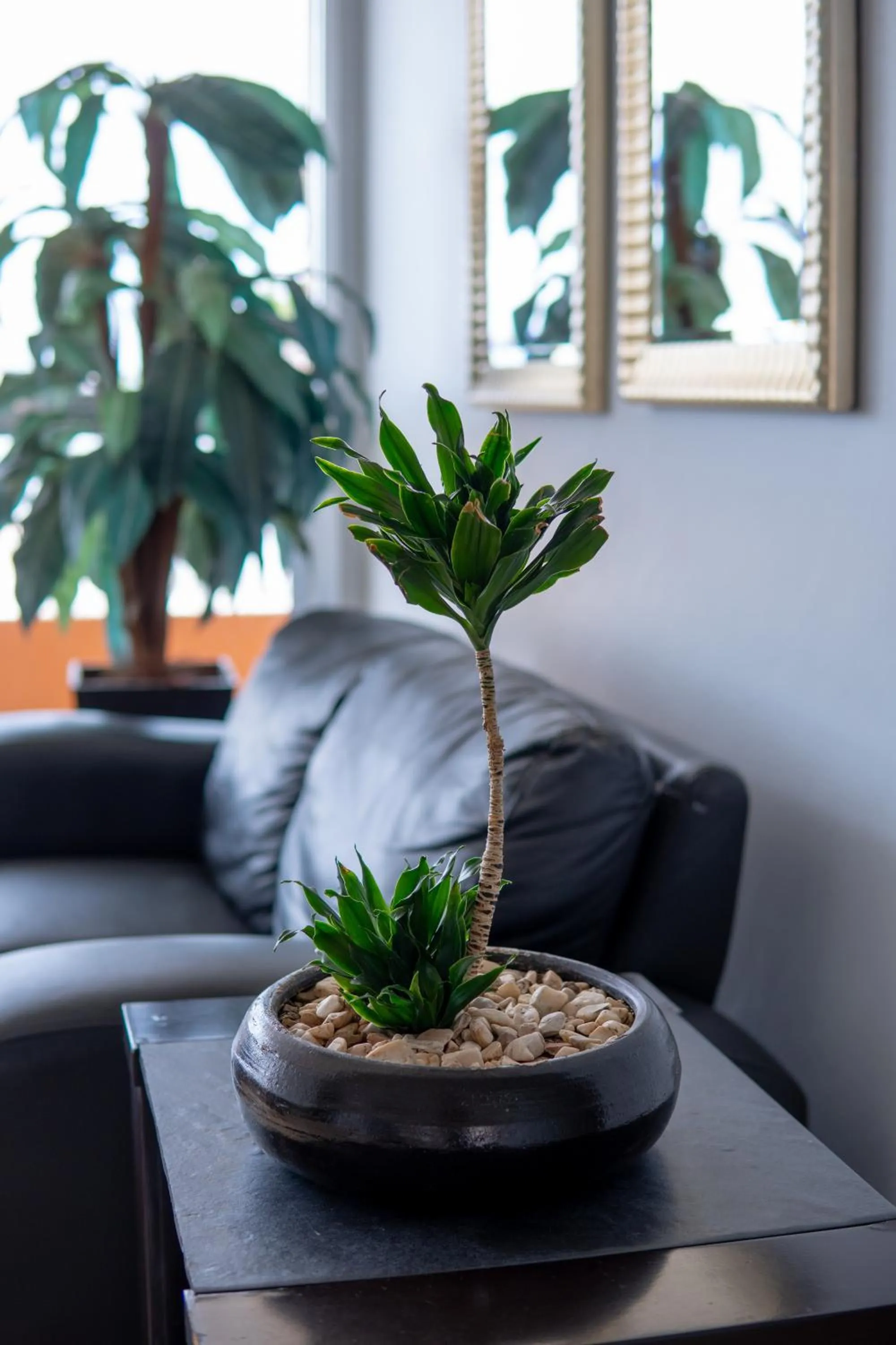 Living room in Hotel America Centro