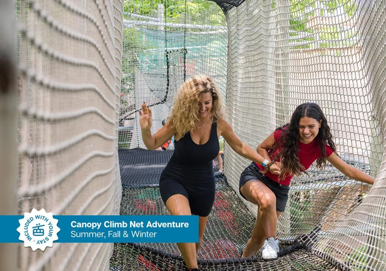 Activities in Blue Mountain Resort Inn