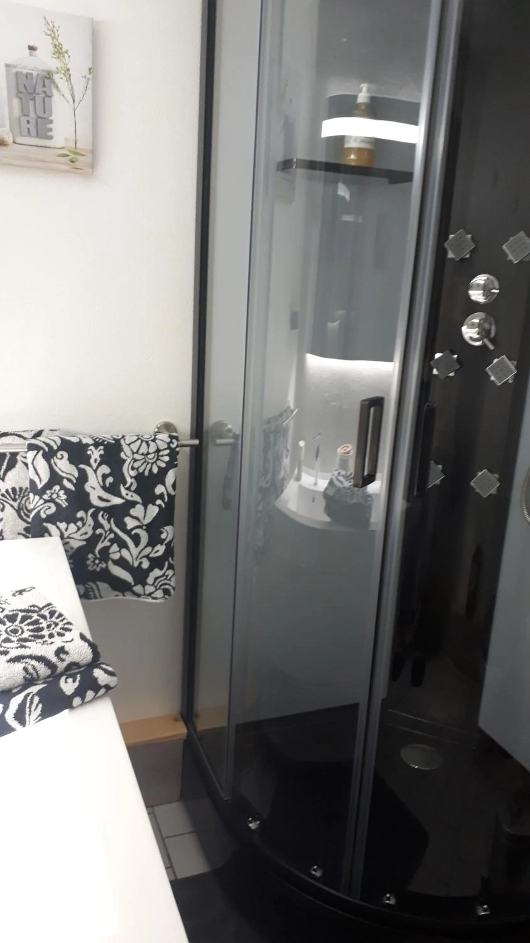 Shower, Bed in Les MIRABELLES chambres d'hôtes