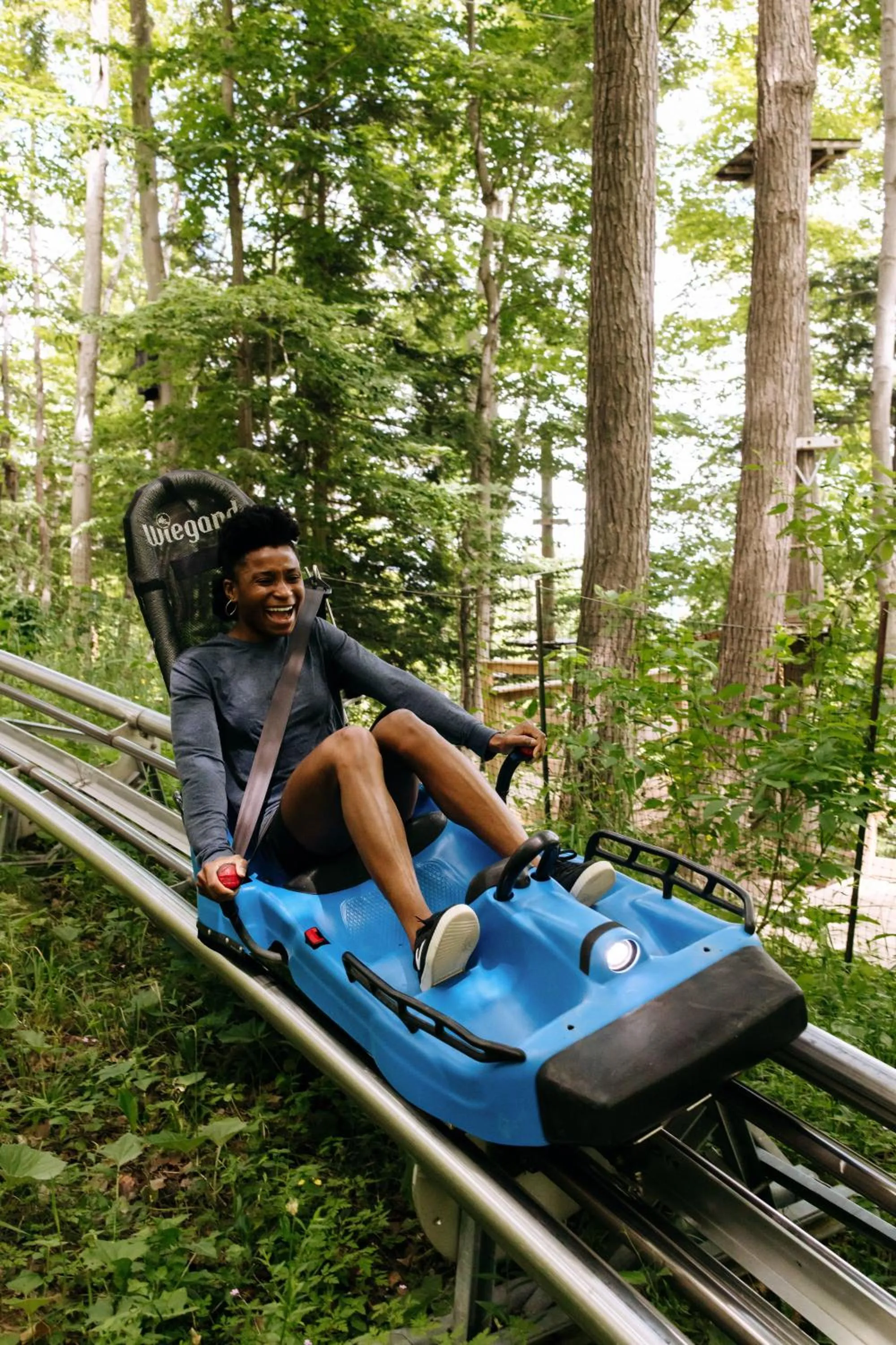 Summer in Blue Mountain Resort Home Collection