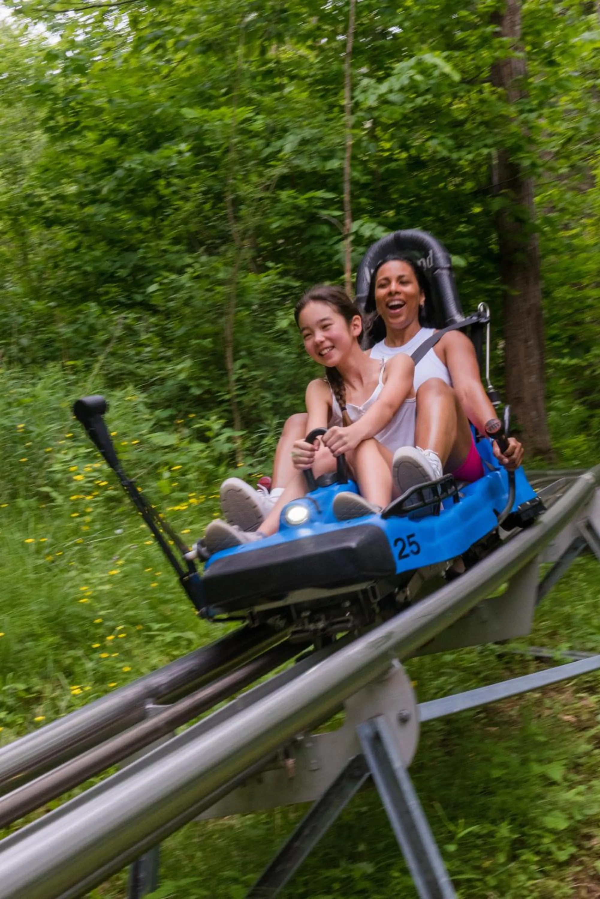 Activities in Blue Mountain Resort Home Collection