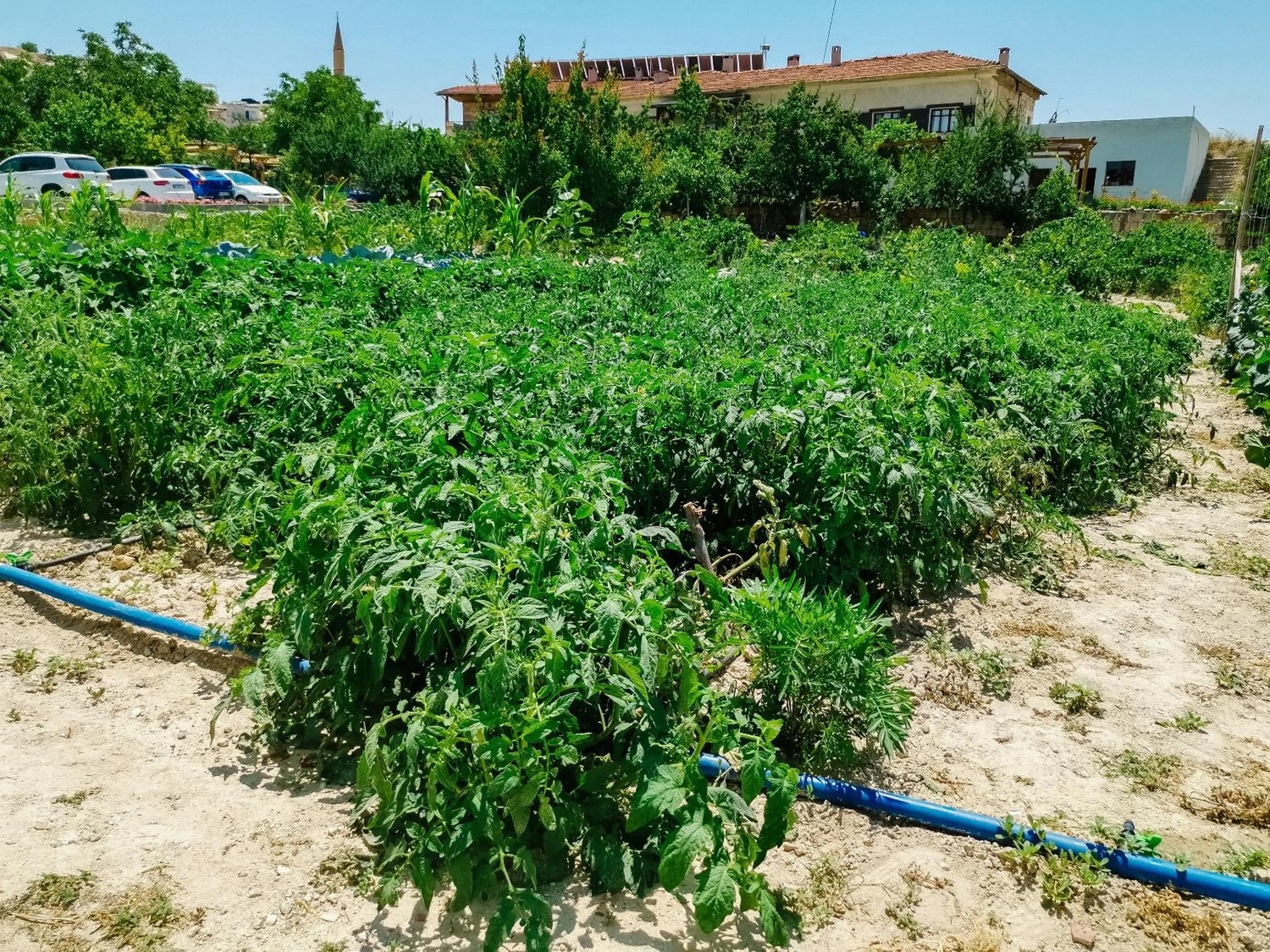 Garden in Garden Inn Cappadocia