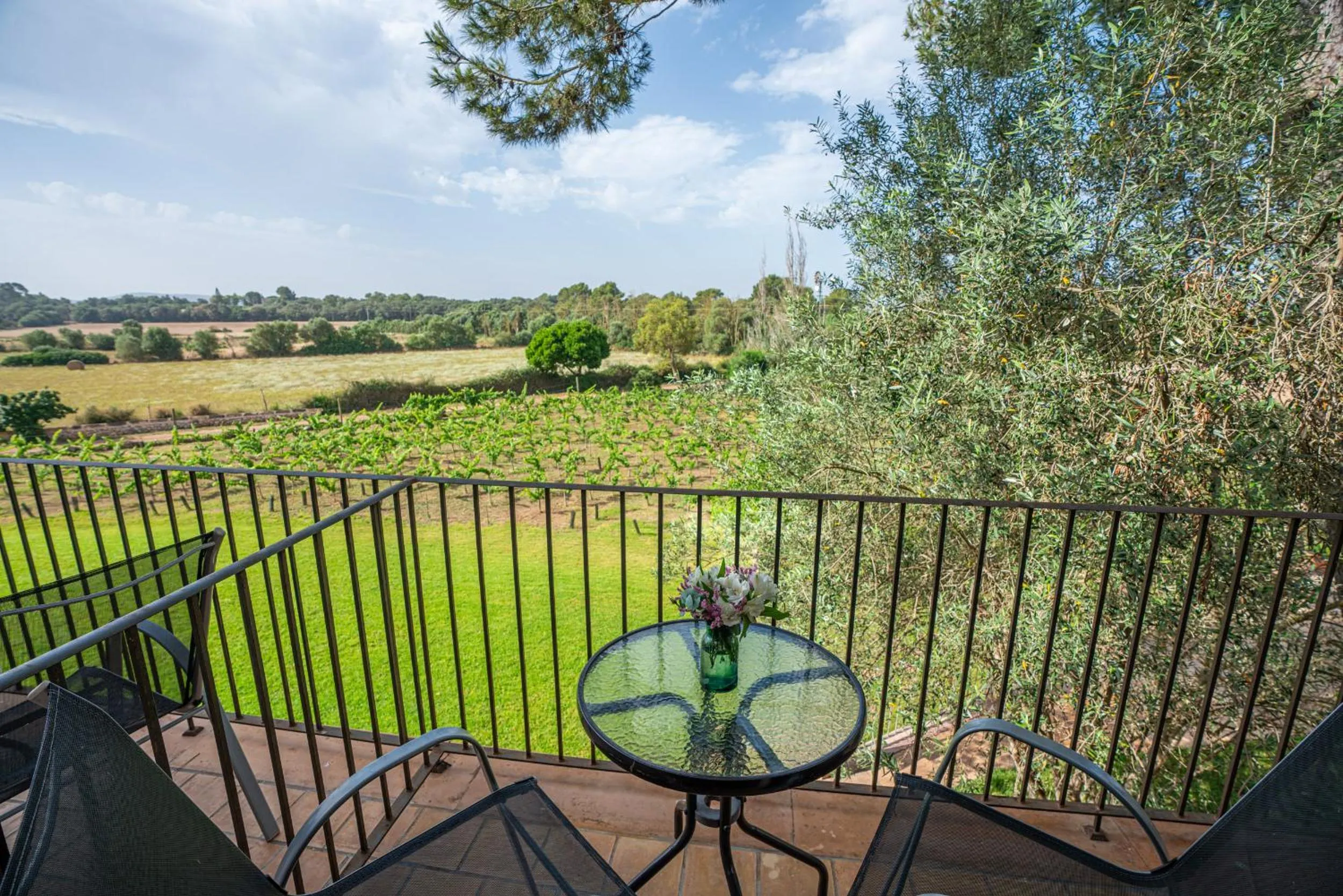 Finca Agroturismo Son Menut