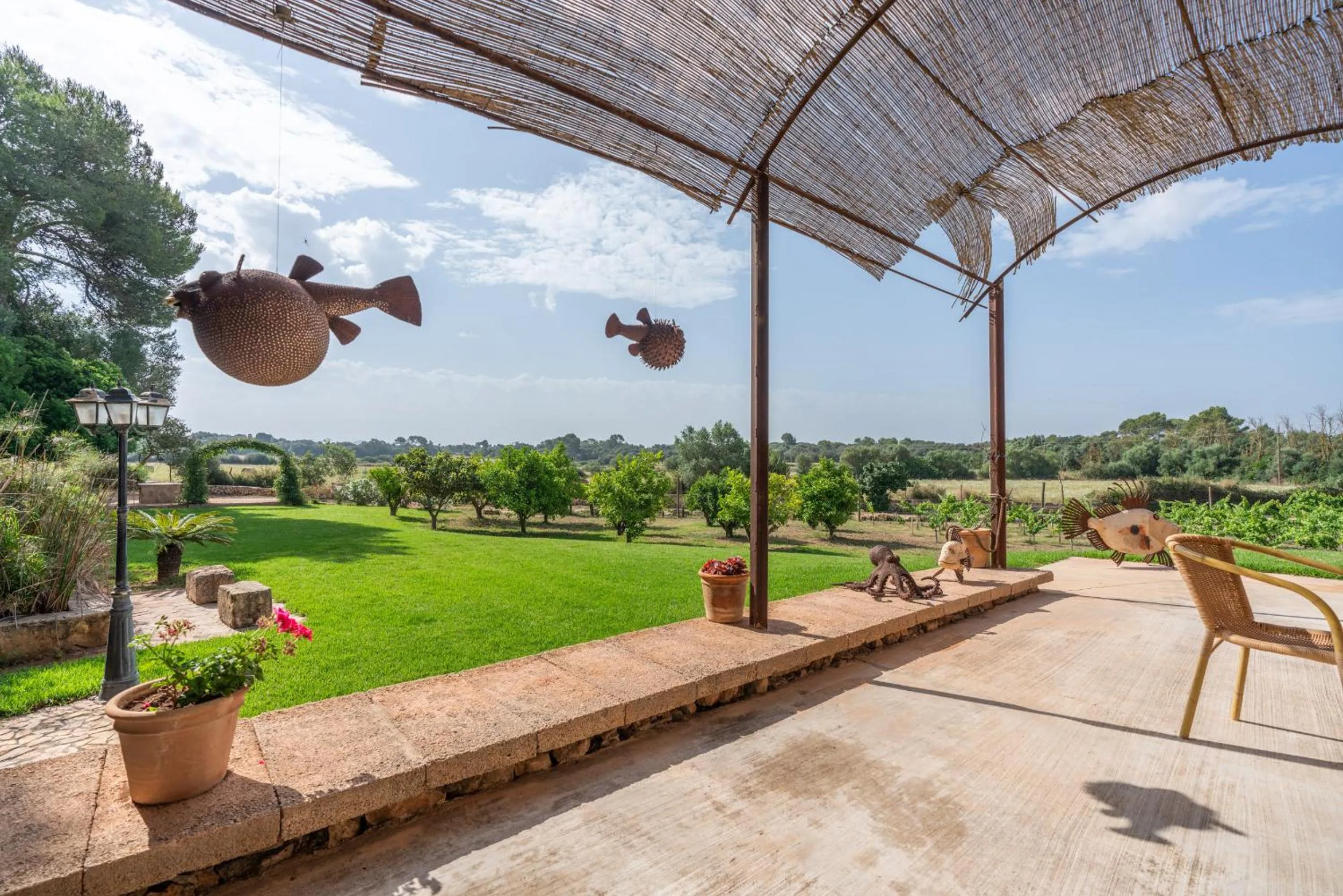 Finca Agroturismo Son Menut