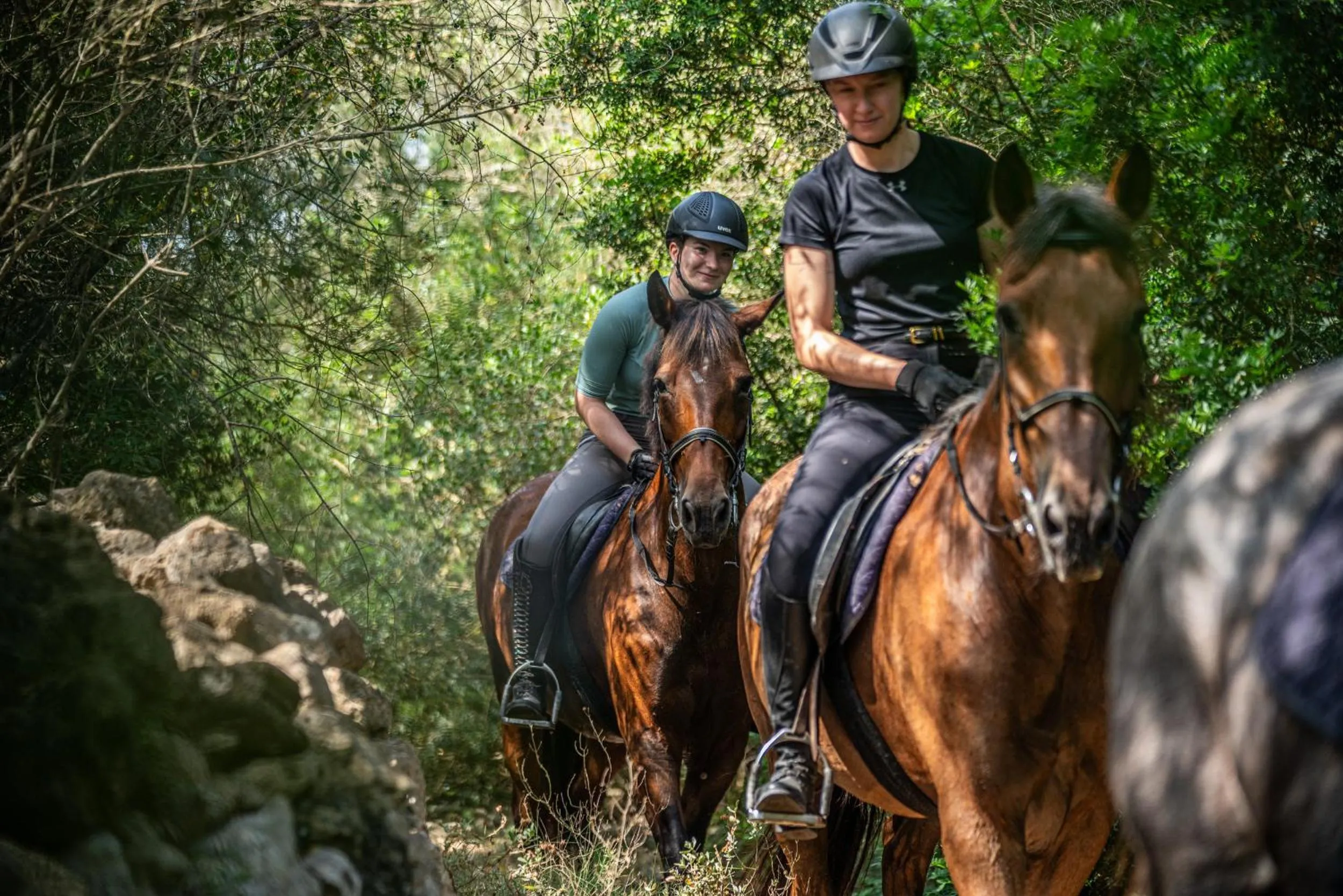 Finca Agroturismo Son Menut