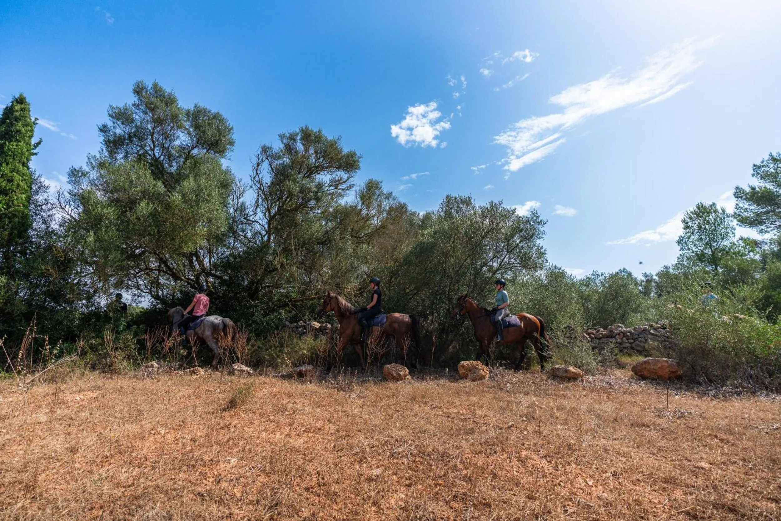 Finca Agroturismo Son Menut