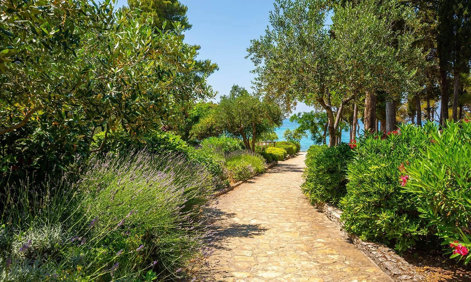 Day in Aminess Vival Velaris Resort