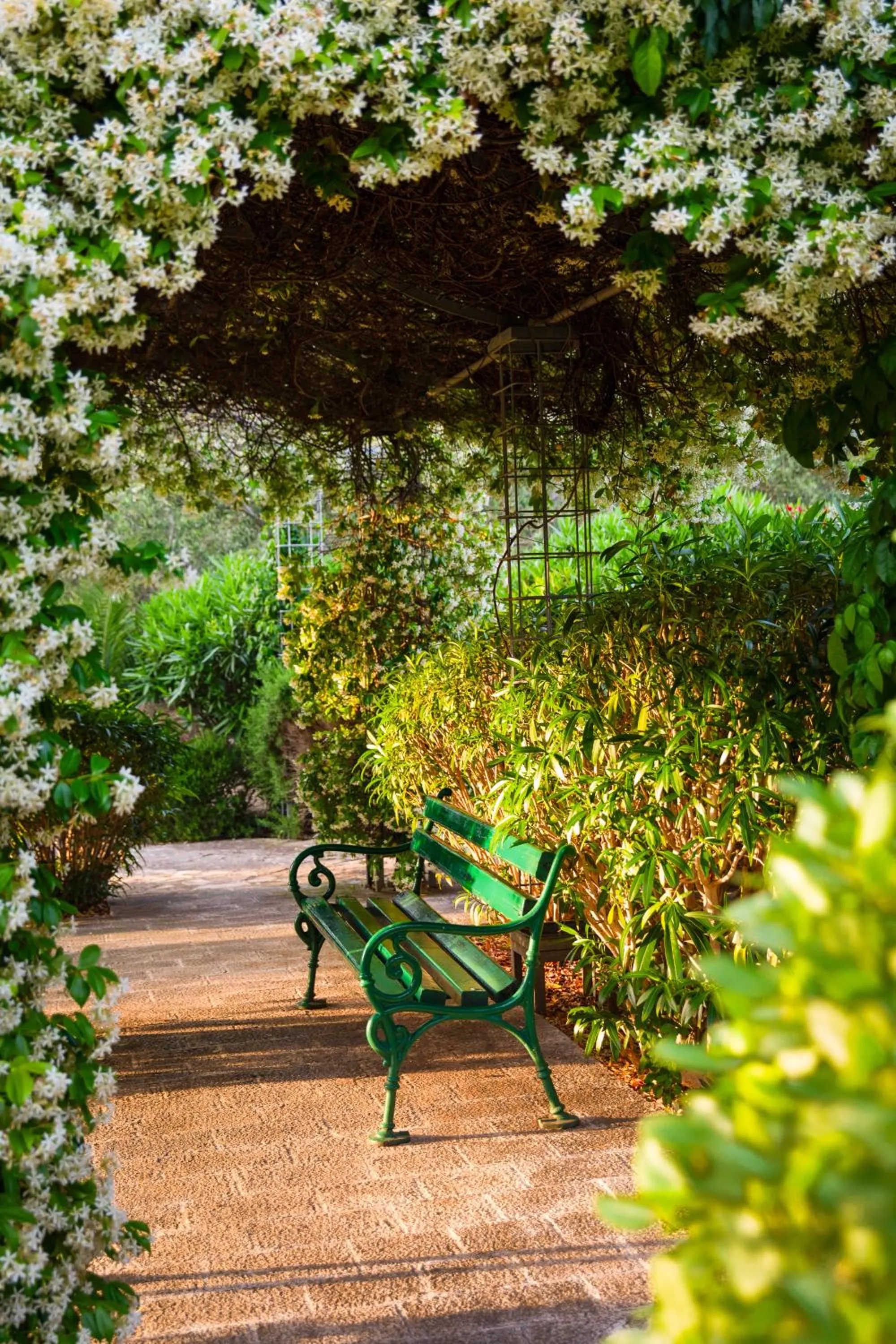 Natural landscape in Aminess Vival Velaris Resort