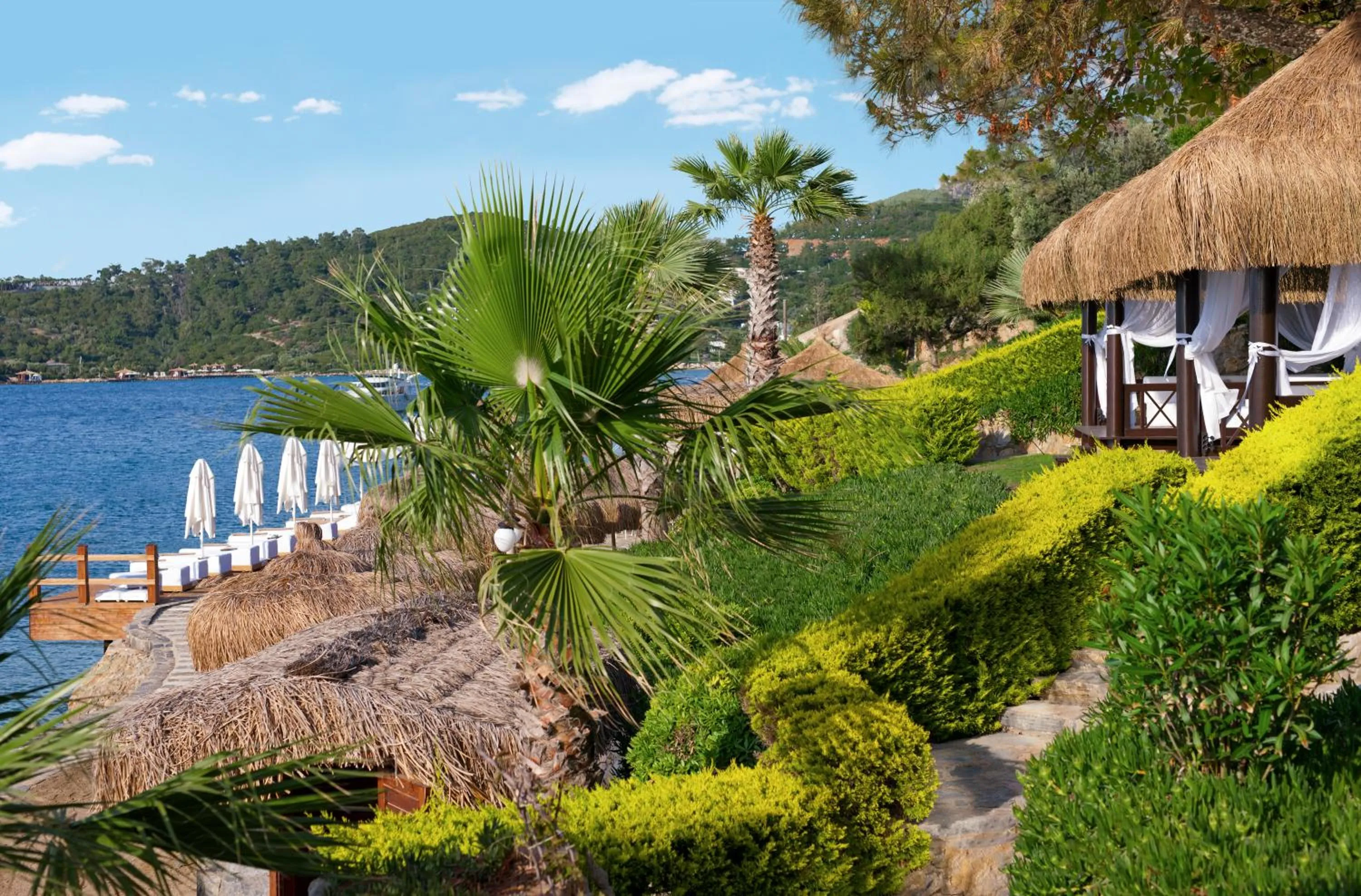 Garden in Sarpedor Boutique Hotel