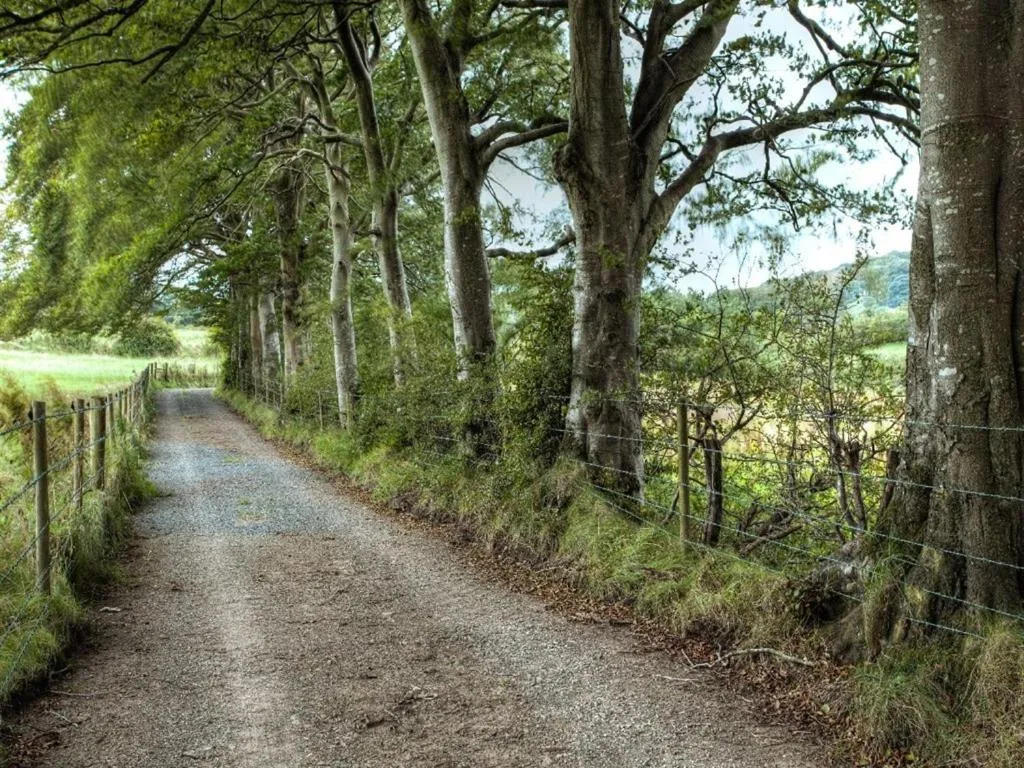 Other in Ballylagan Organic Farm