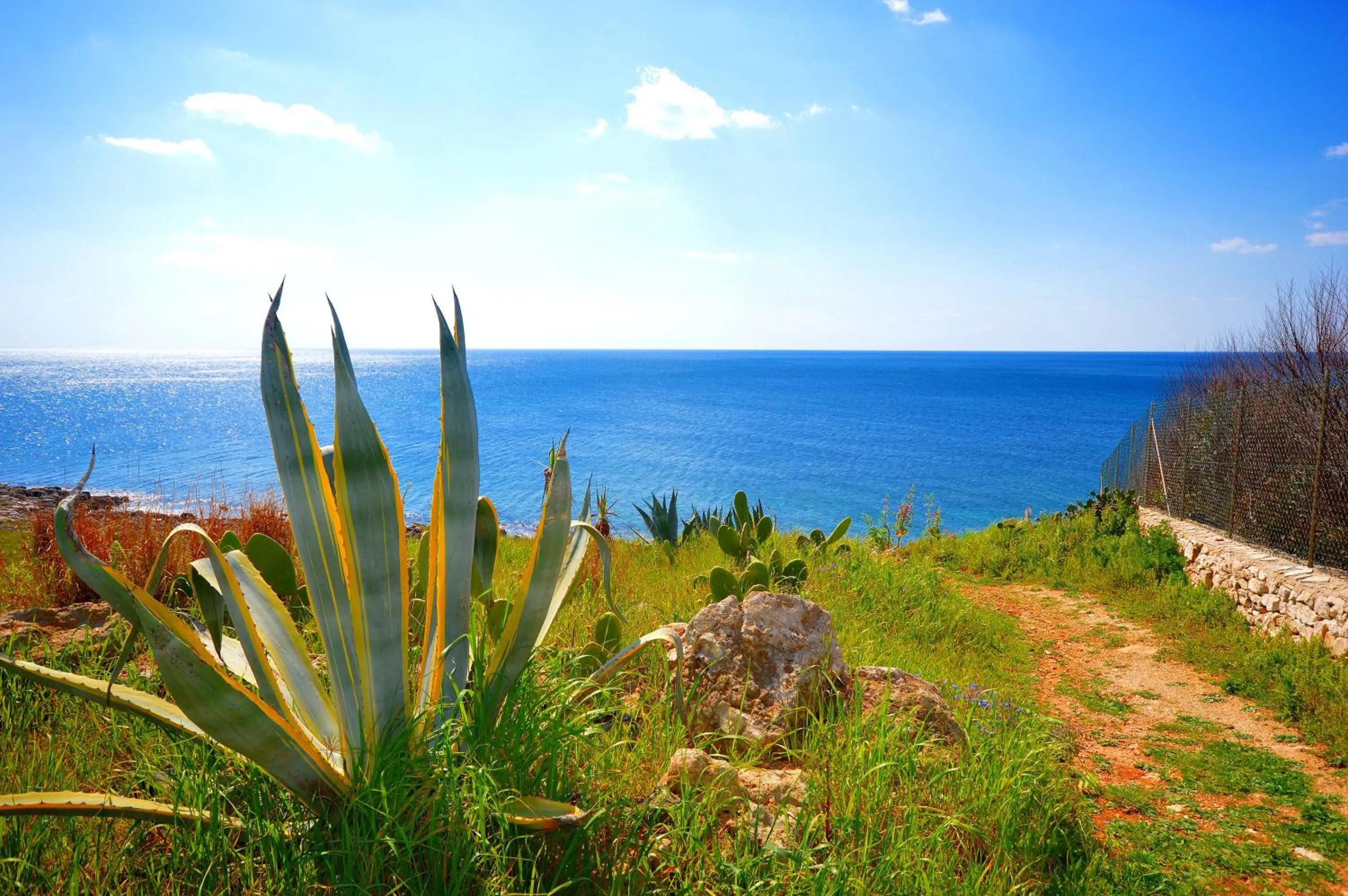 Natural landscape in B&B White Rooms Salento