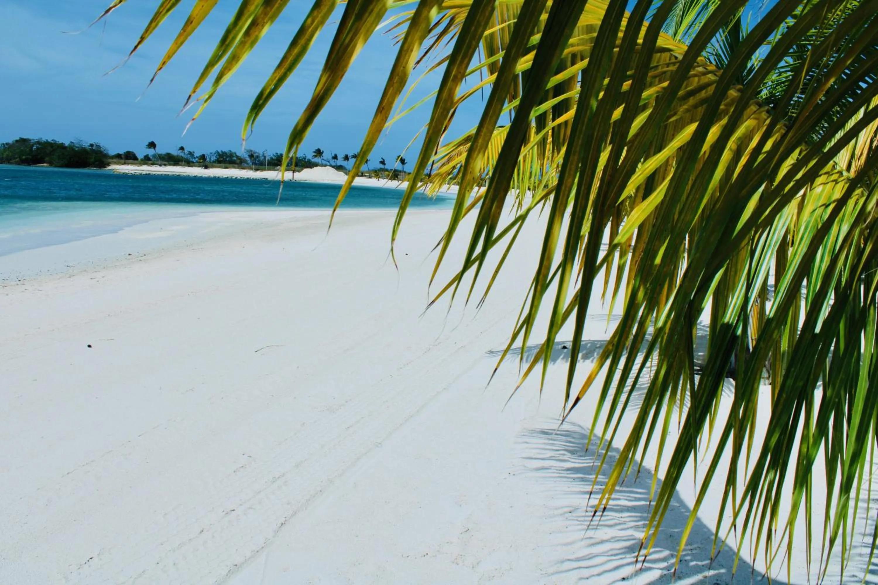 Beach in The Marina Villa de Sonja