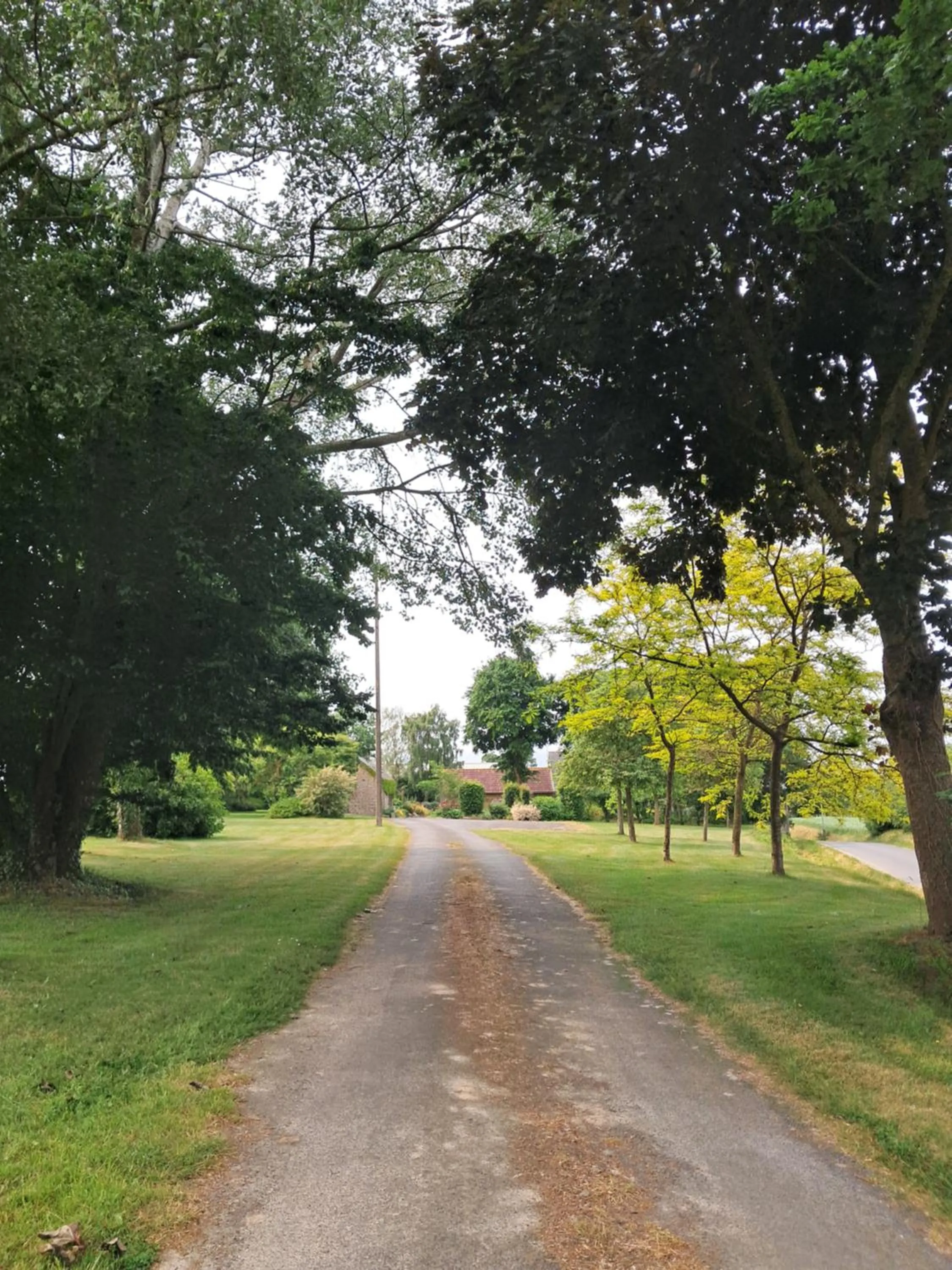 Garden view in Aux Greniers à Rêves