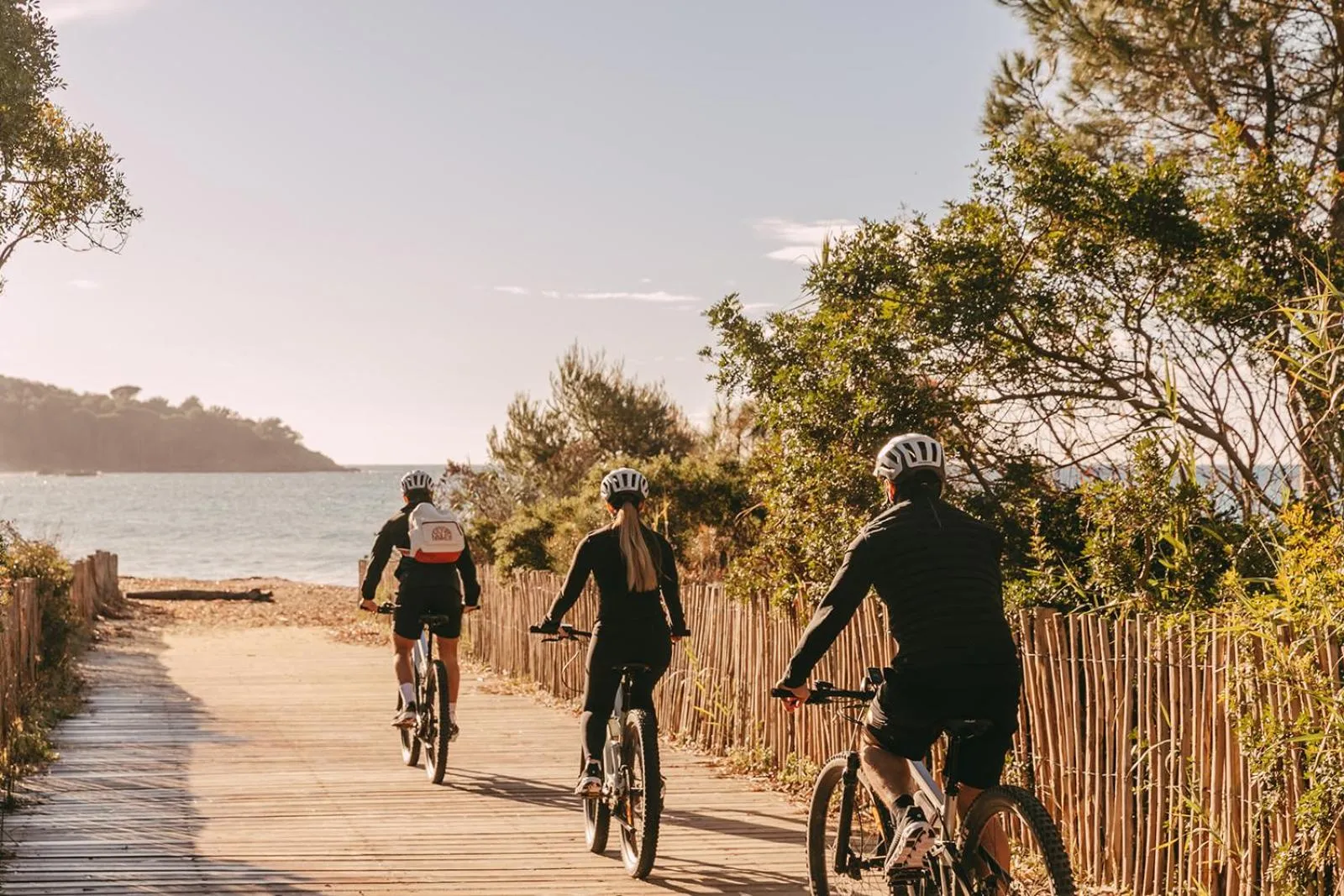 Cycling in Lily of the Valley