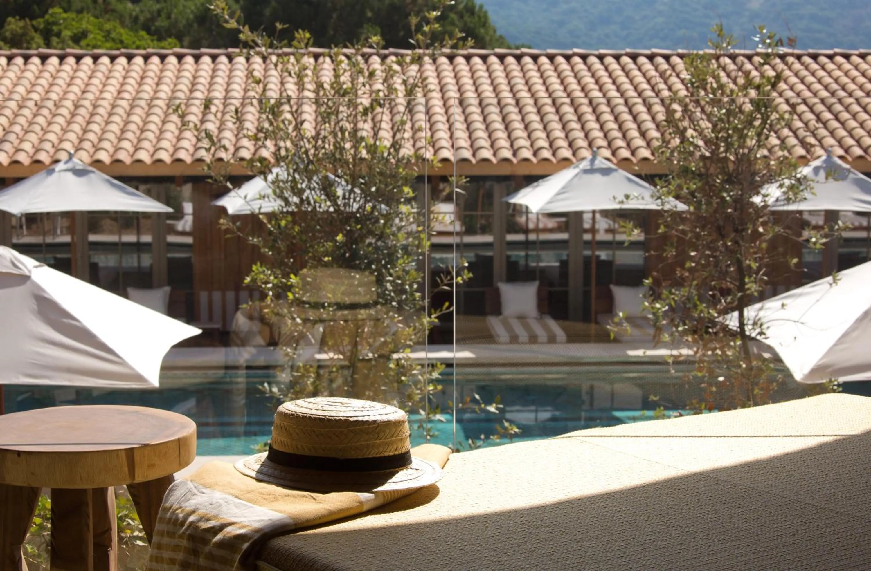 View (from property/room) in Lily of the Valley