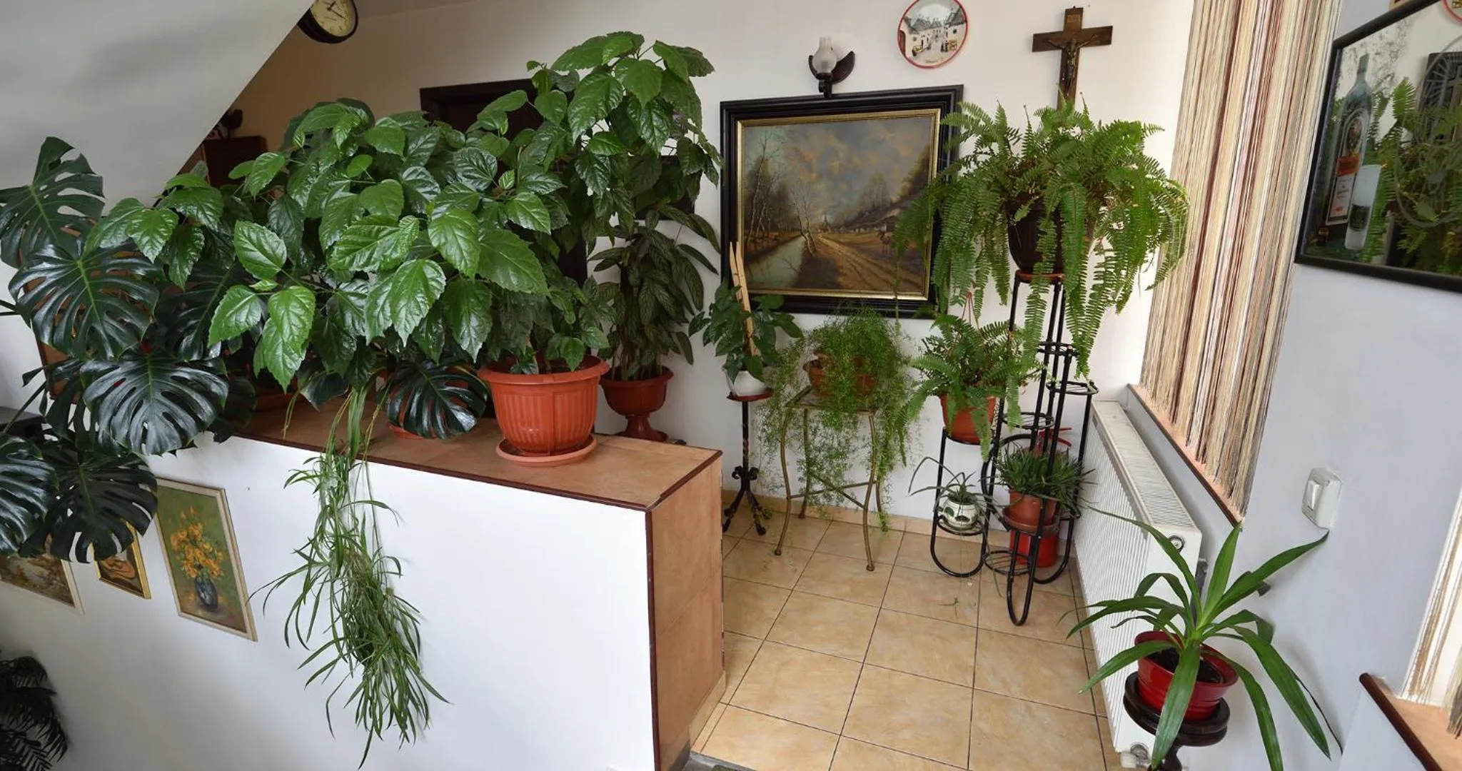 Lobby or reception in Hotel Taco