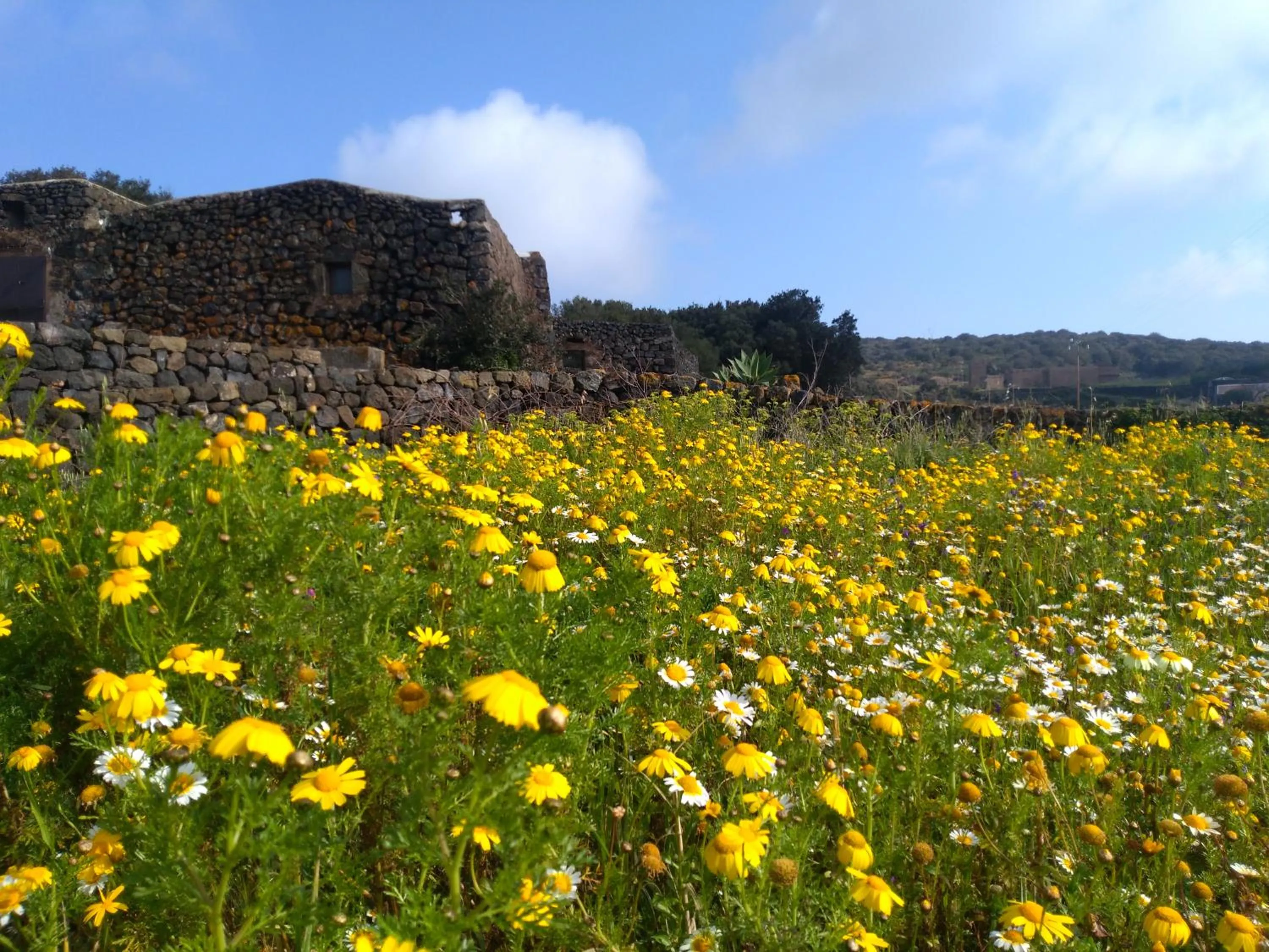 Facade/entrance in 2 Gatti - Sogno