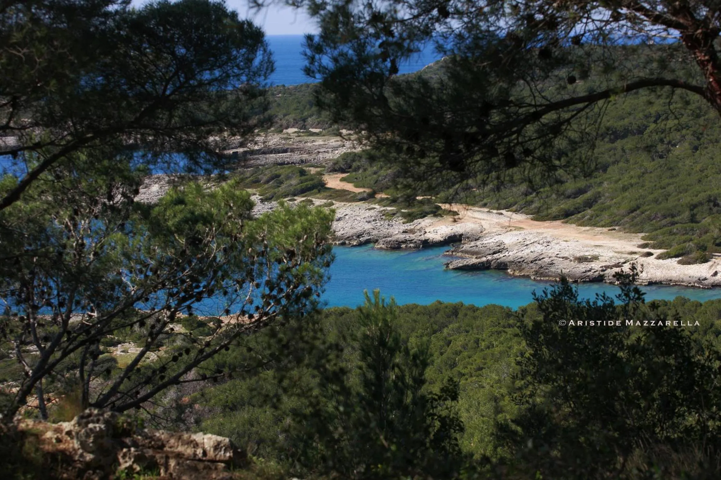 Natural landscape in B&B Happy Days Golfo di Gallipoli