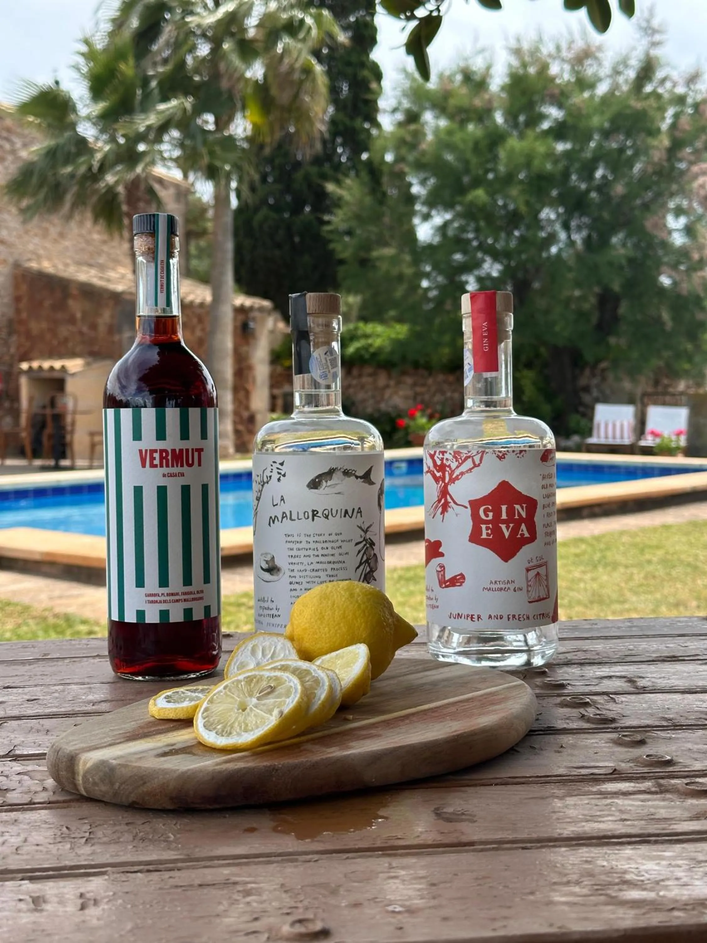 Swimming pool in Agroturismo Finca Son Pieras