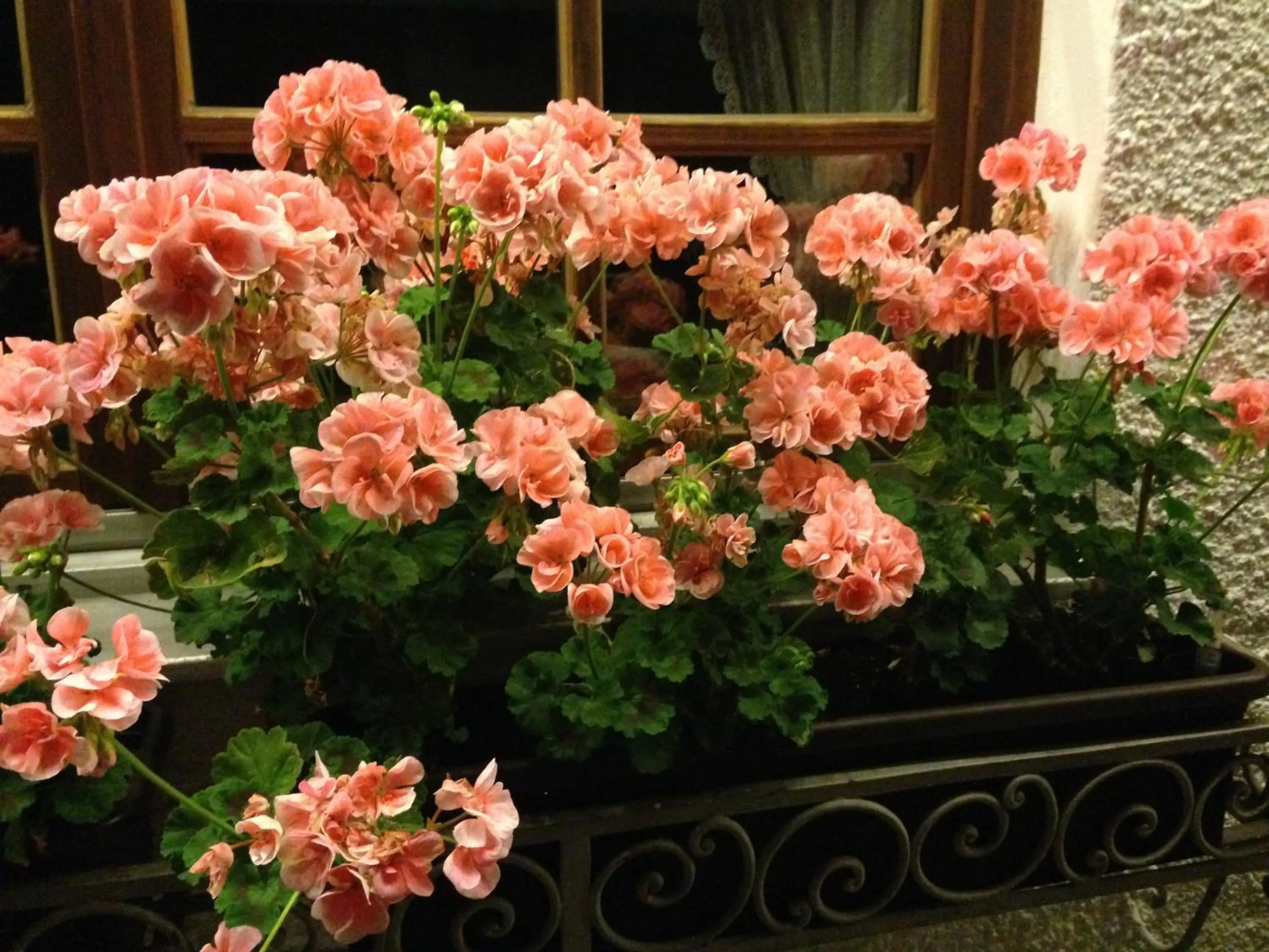 Facade/entrance in Tutzinger Hof