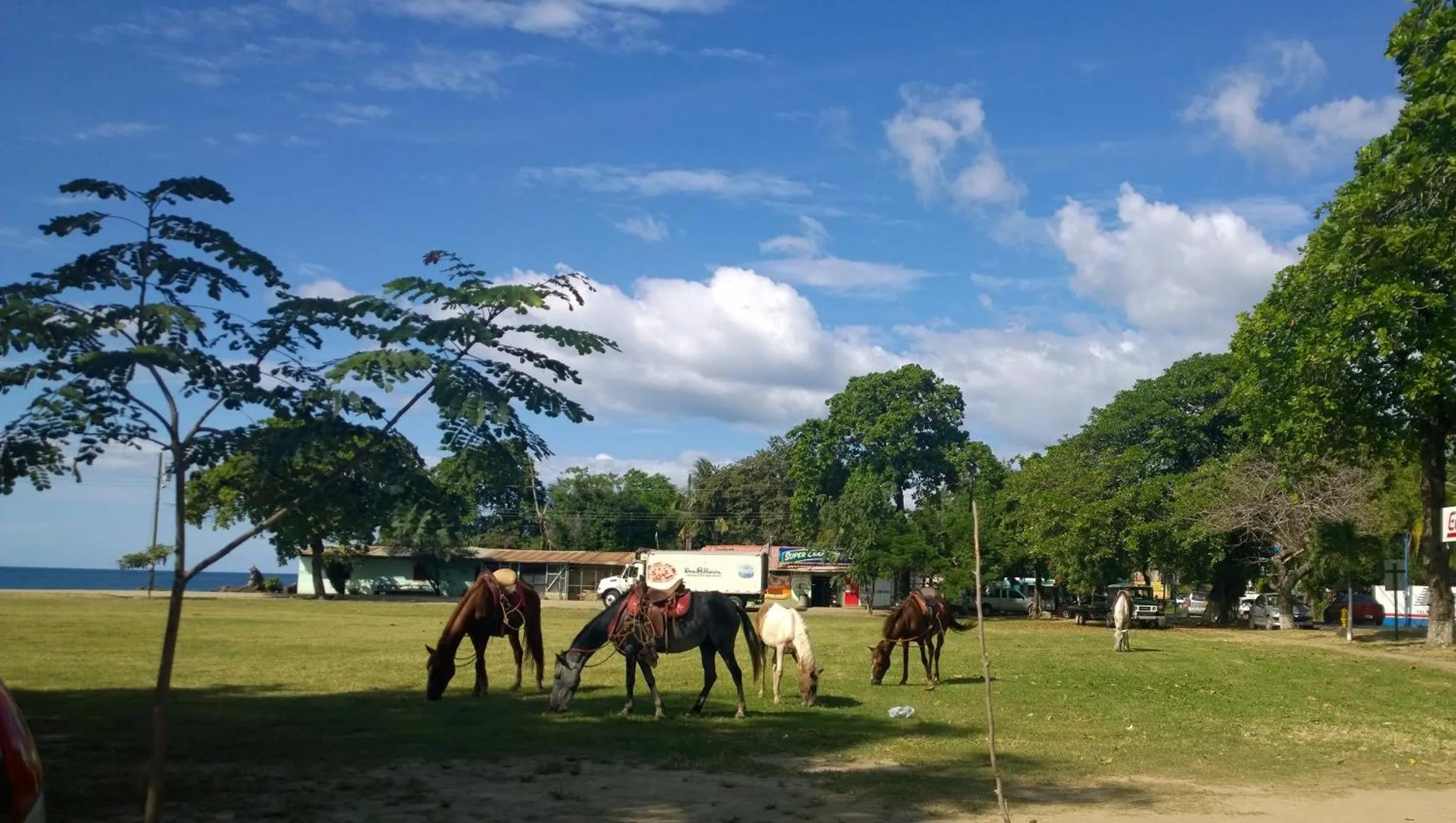 Horse-riding in Hotel Guanacaste Lodge