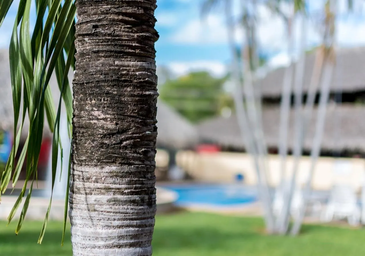 Garden in Hotel Guanacaste Lodge
