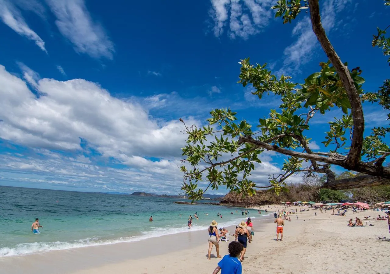 Beach in Hotel Guanacaste Lodge
