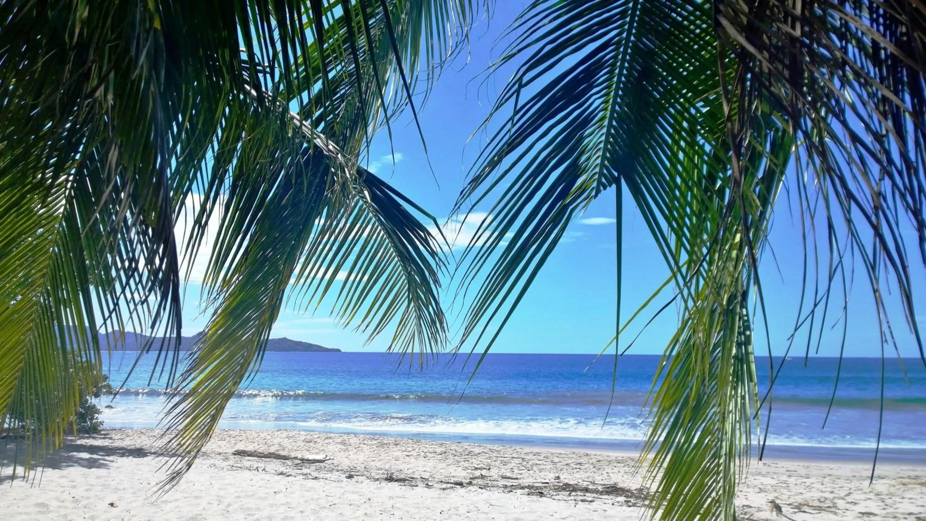 Beach in Hotel Guanacaste Lodge