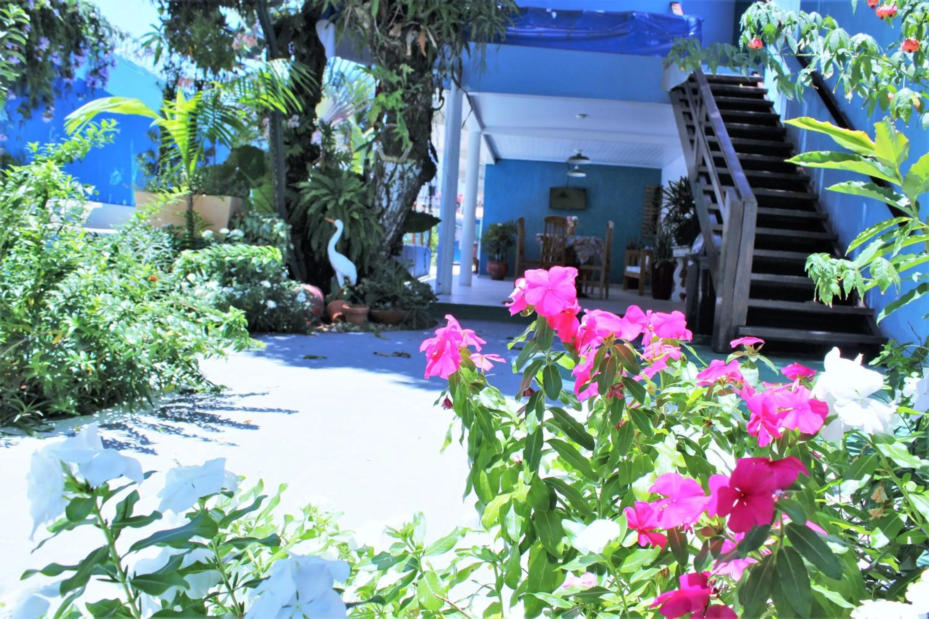 Patio in Porto Bahia Hotel
