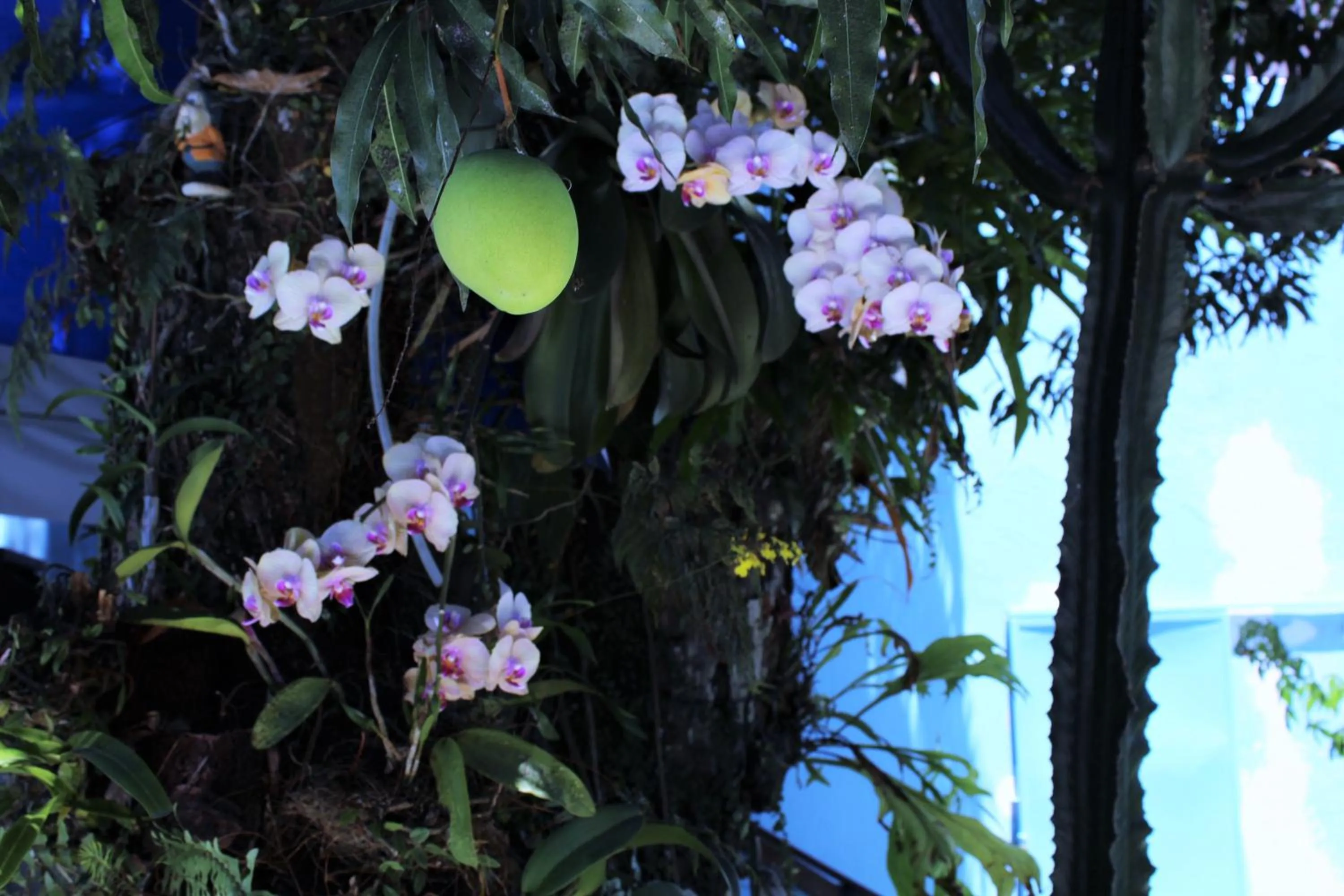 Garden in Porto Bahia Hotel