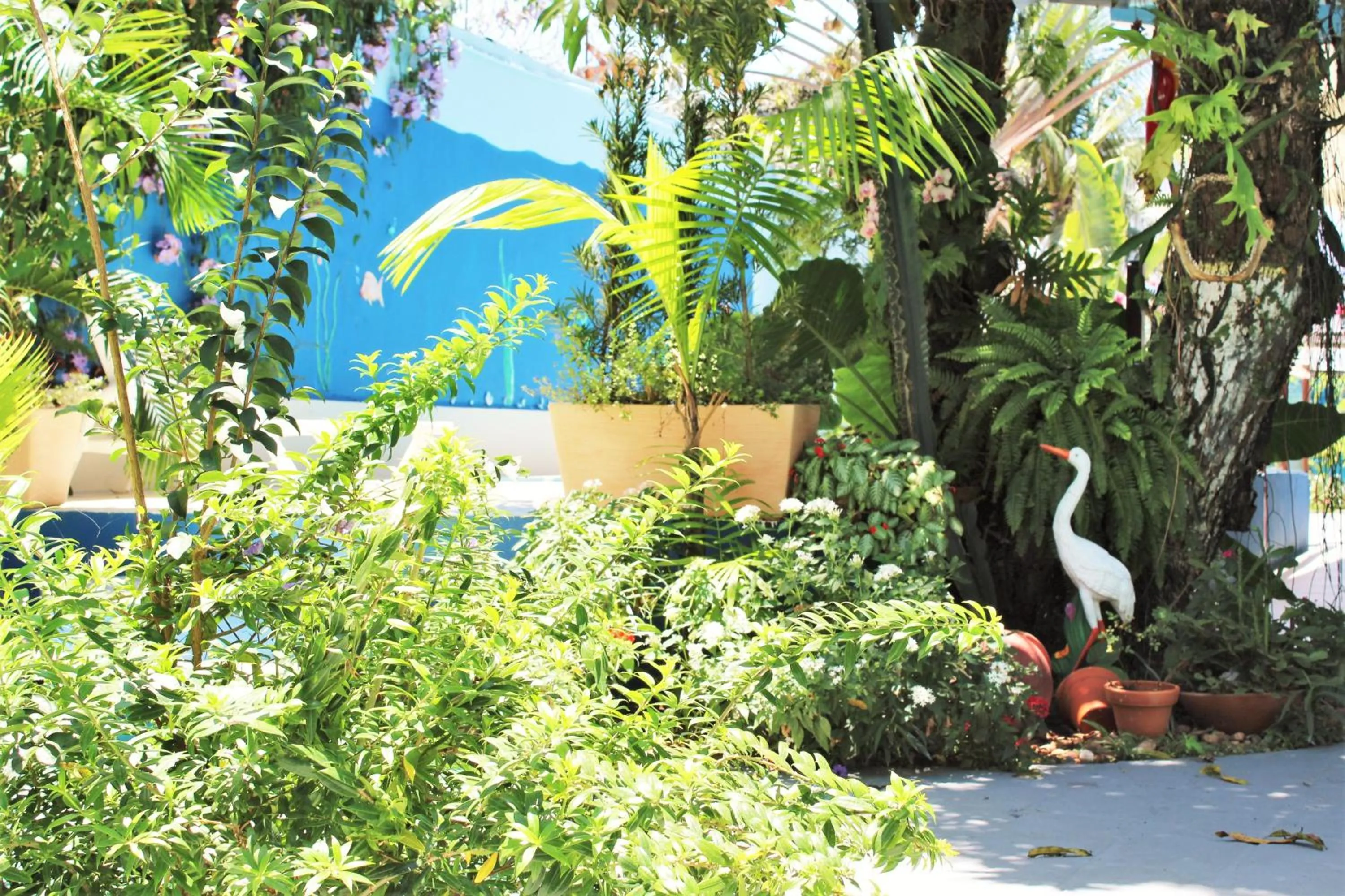 Garden in Porto Bahia Hotel