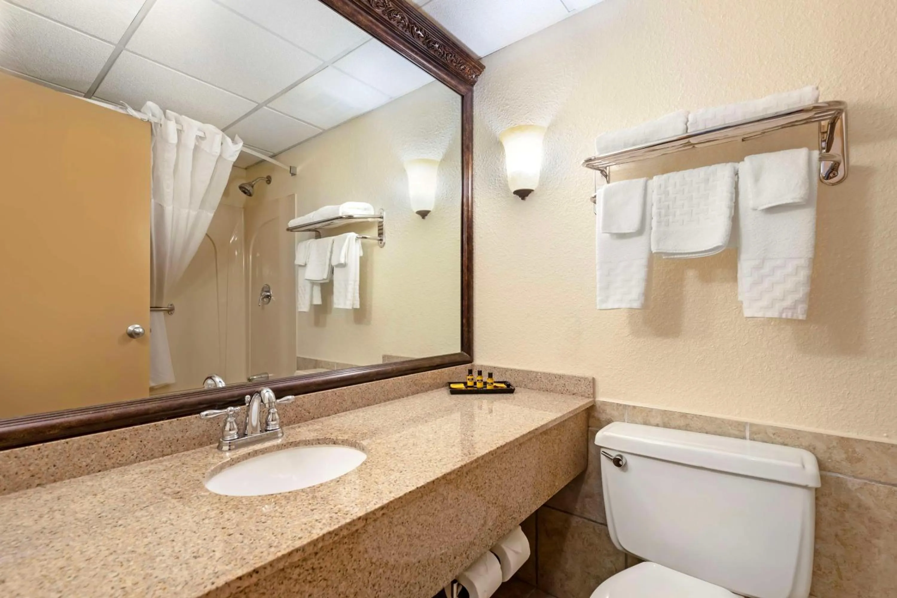 Bathroom in Best Western Plus Longbranch Hotel & Convention Center