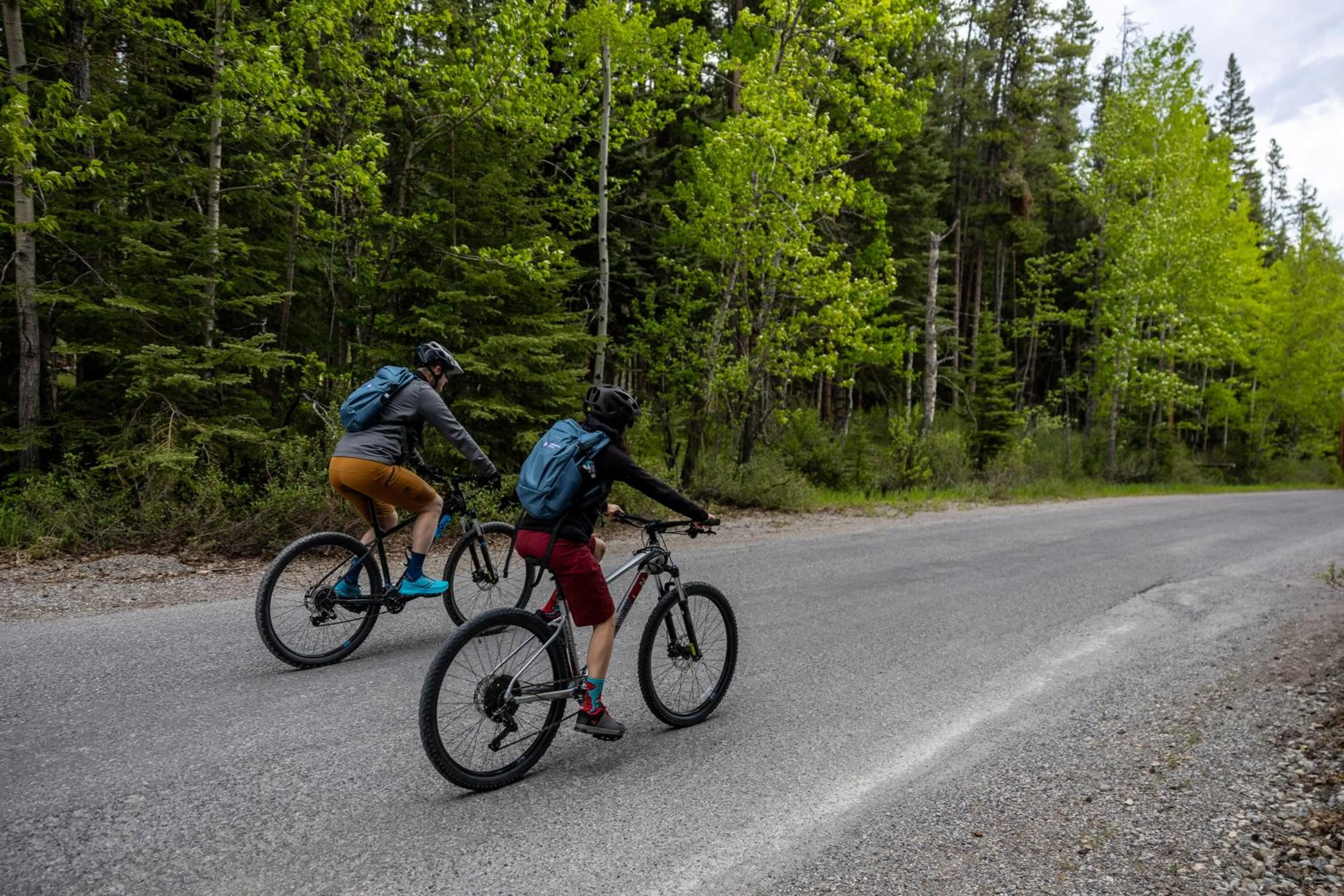 Natural landscape in The Juniper Hotel & Bistro