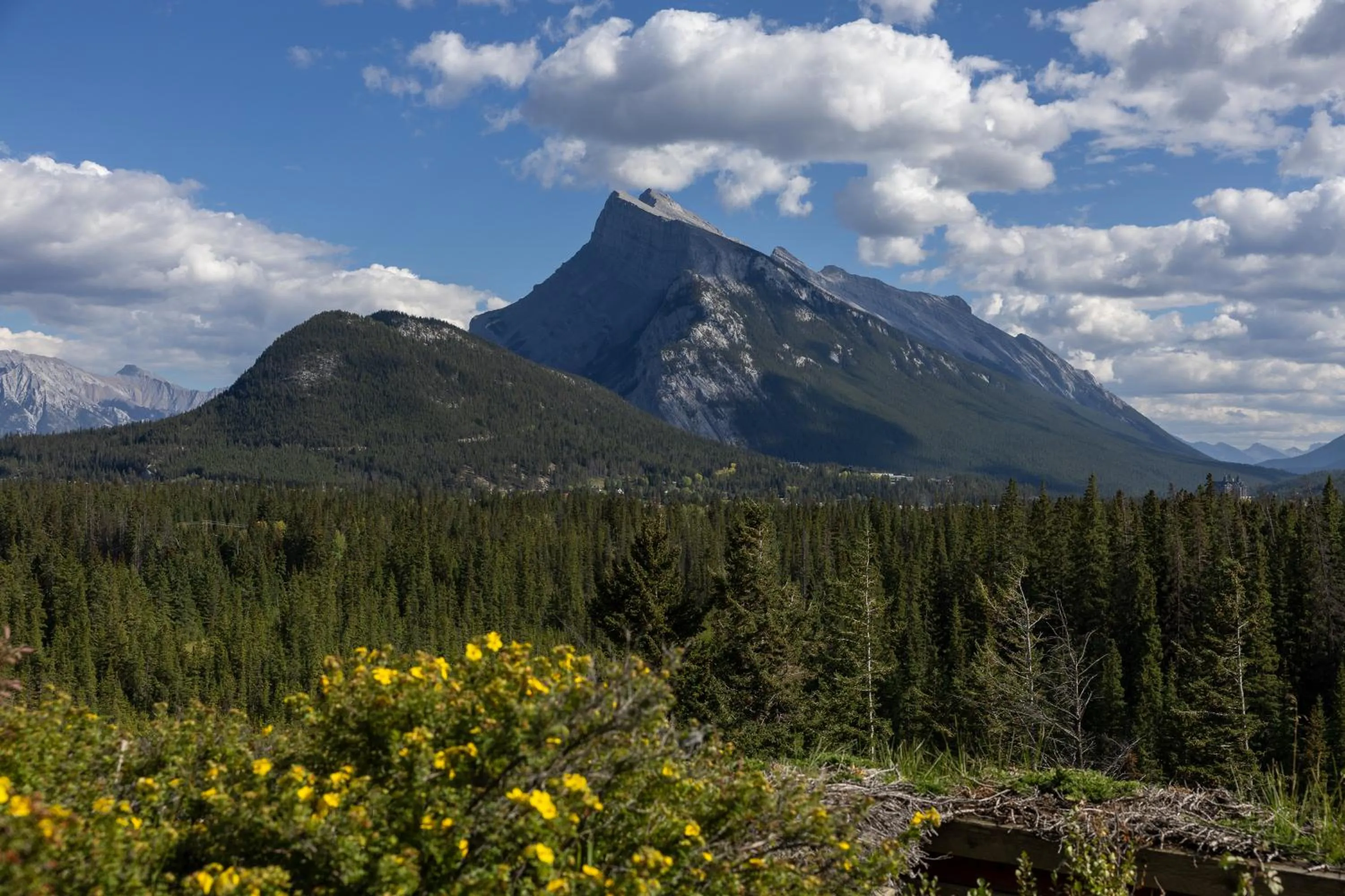 Landmark view in The Juniper Hotel & Bistro