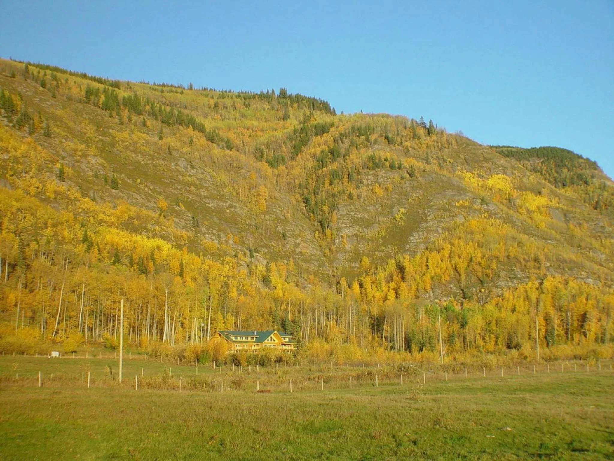 Property building in Williston Lake Resort