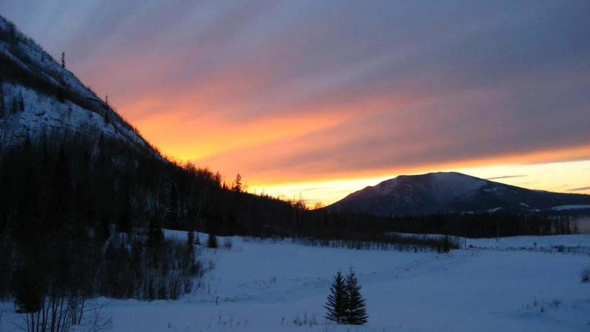 Natural landscape in Williston Lake Resort